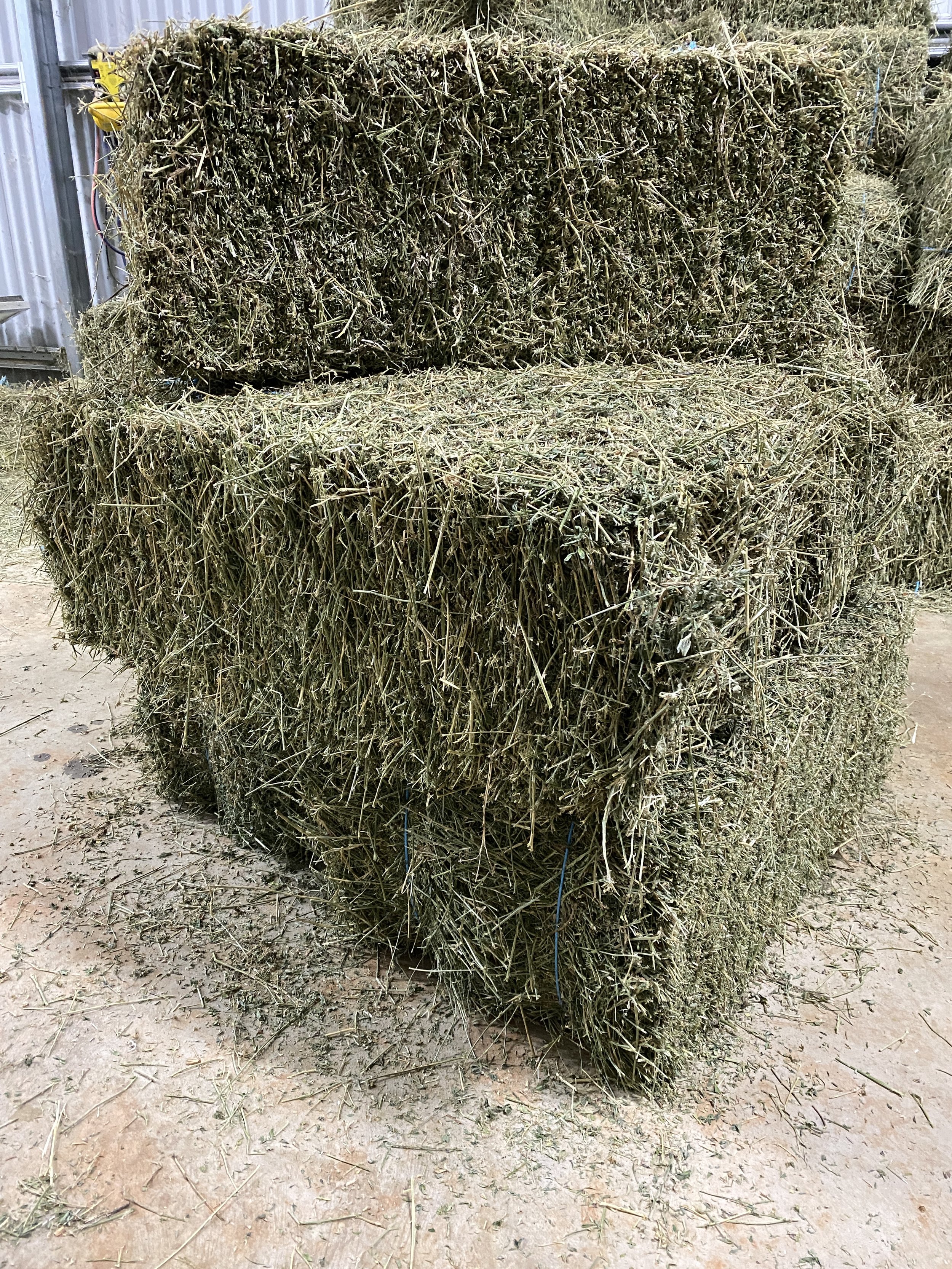 20 A Grade Lucerne Hay Bales (Delivered)