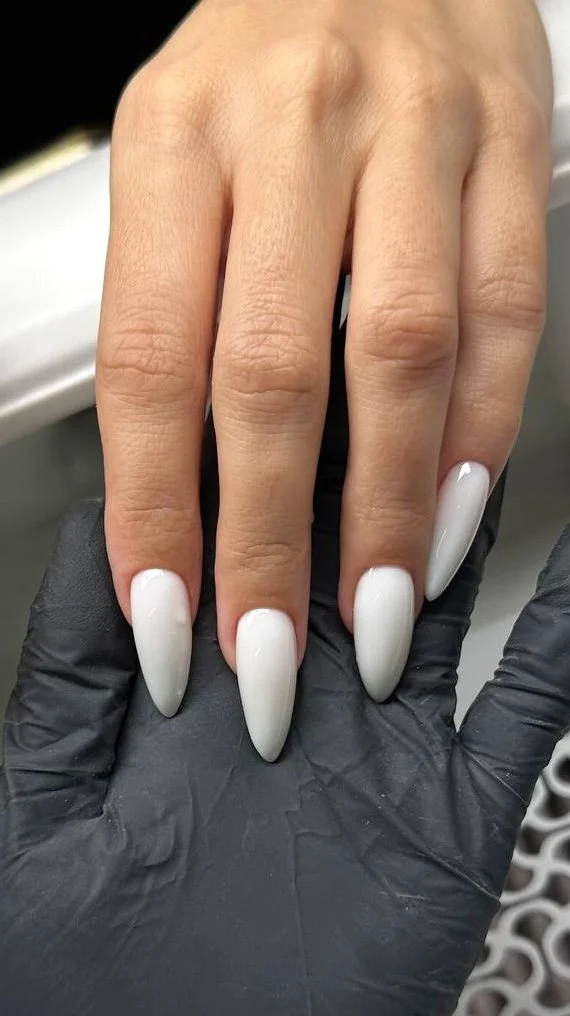 photo_2026-03-23 18.34.17.jpeg