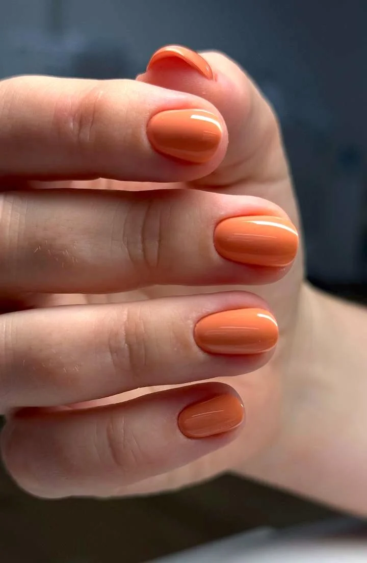 IMAGE 2025-11-24 17:04:04.jpg