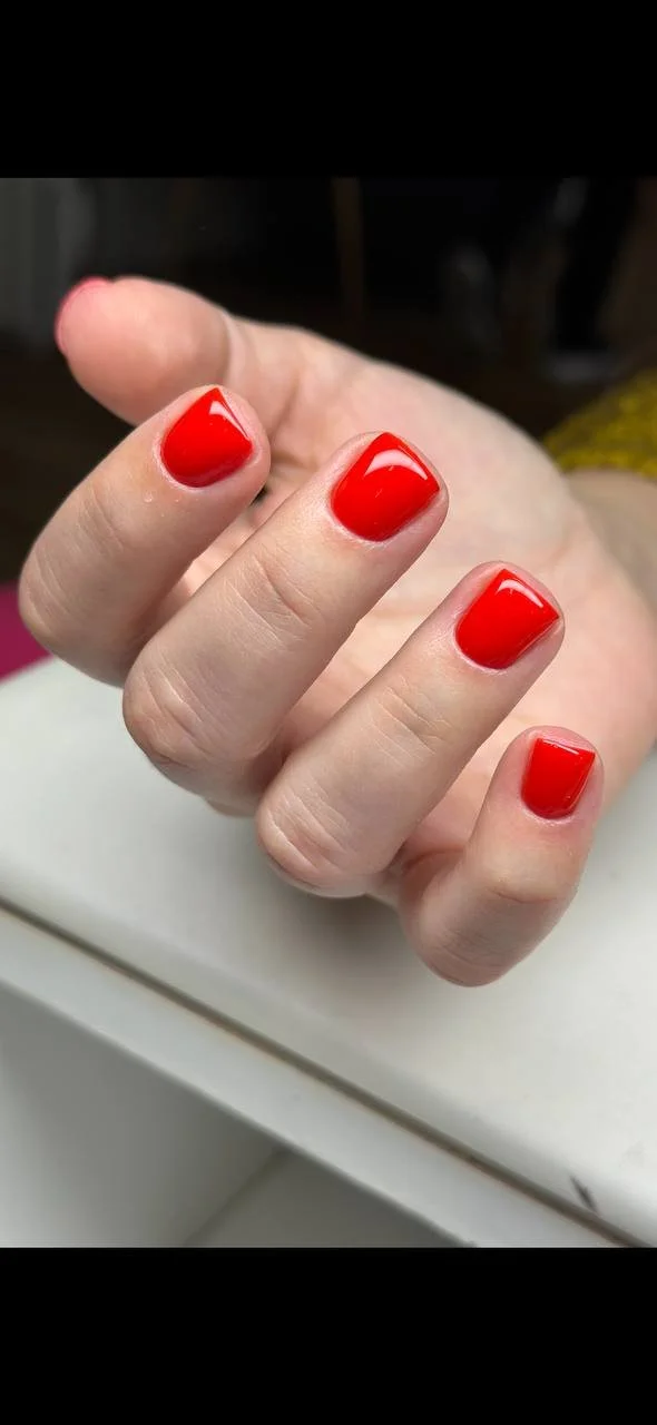 photo_2026-02-26 18.30.25.jpeg