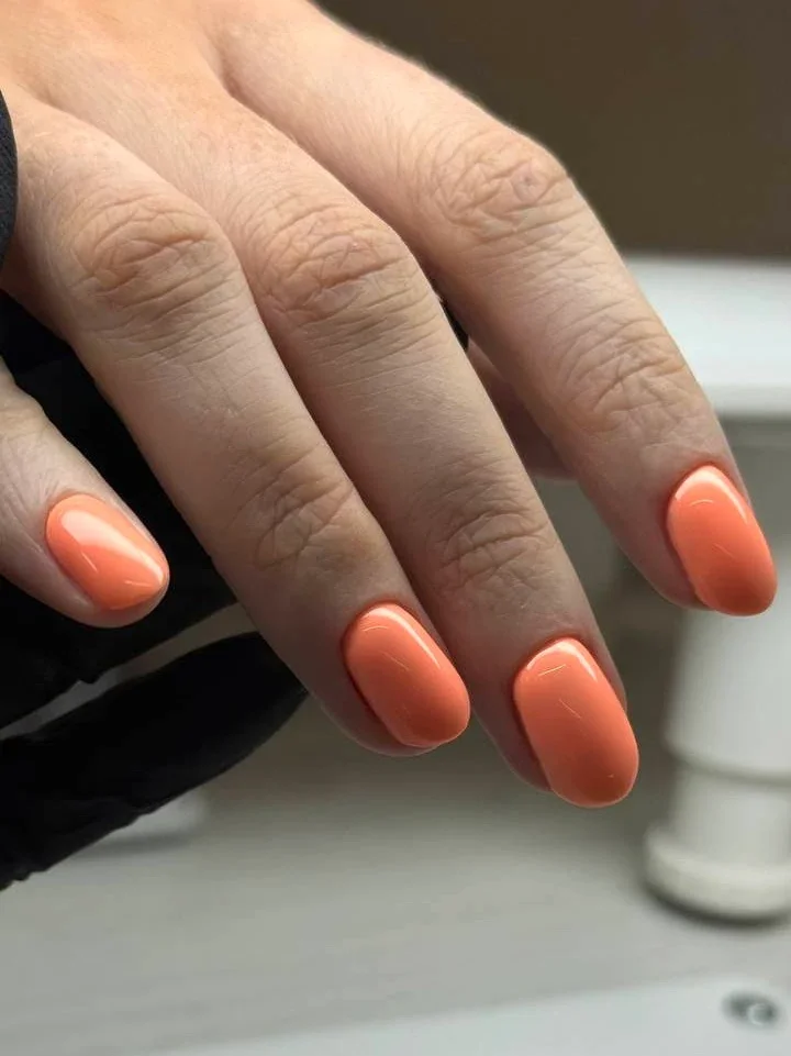 photo_2026-03-08 14.37.20.webp