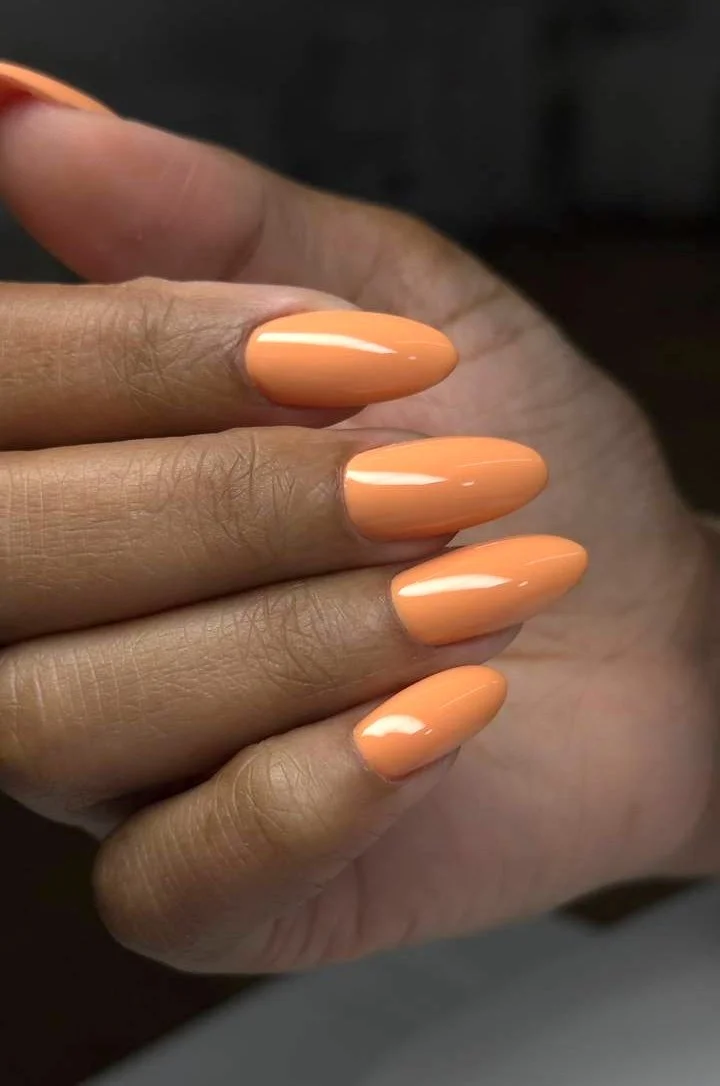 IMAGE 2025-11-24 17:07:22.jpg