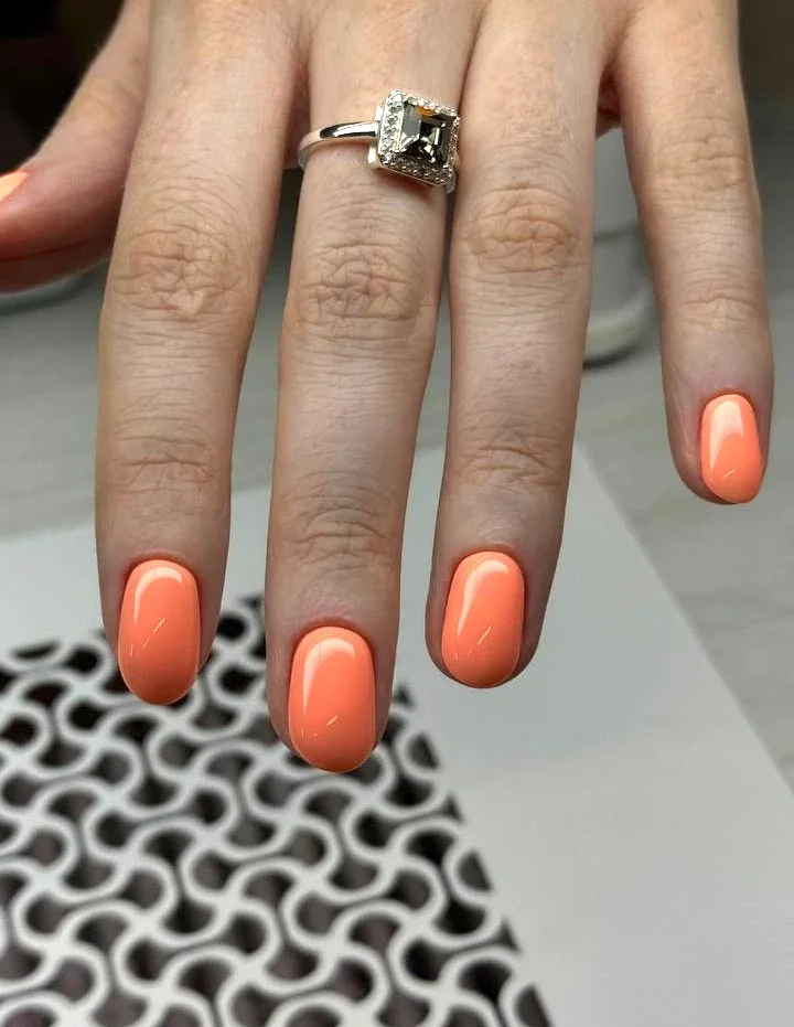 photo_2026-03-08 14.38.11.webp