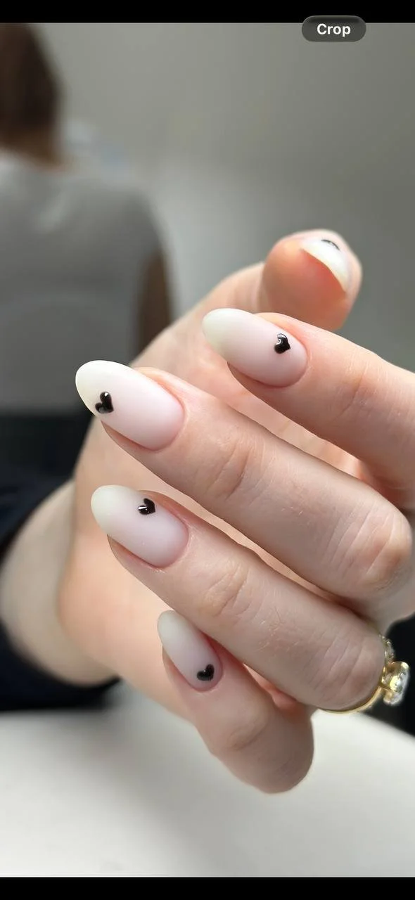 photo_2026-02-26 18.30.29.jpeg