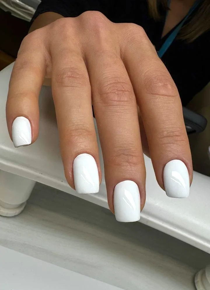 photo_2026-03-08 14.37.40.webp