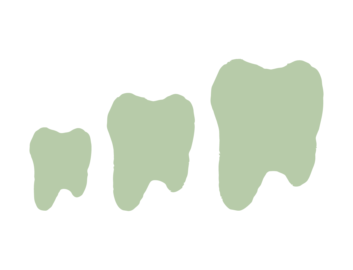 Illustration of three different sized pieces of food, possibly vegetables or fruit slices, in light green color.