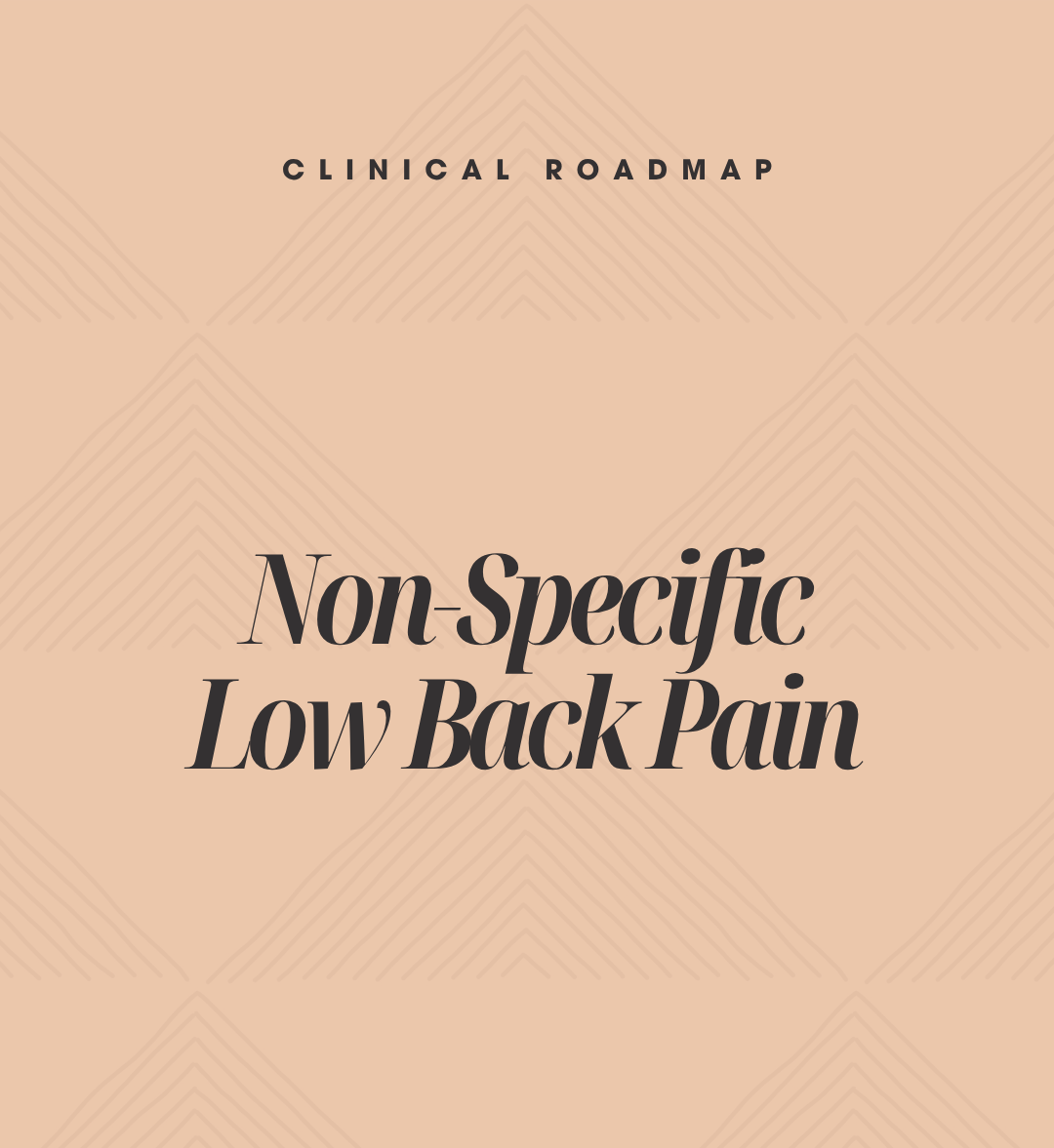 Clinical Roadmap: Understanding Non-Specific Low Back Pain