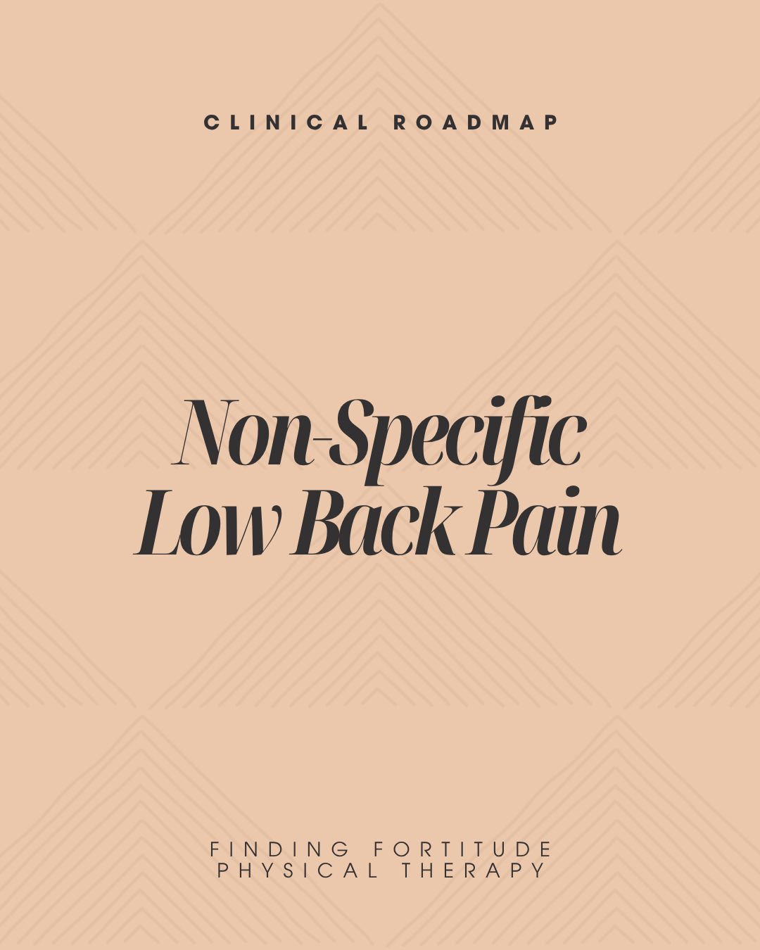 Clinical Roadmap: Understanding Non-Specific Low Back Pain