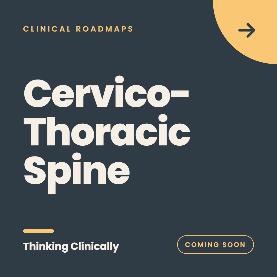 Cervicothoracic Spine@1x.png