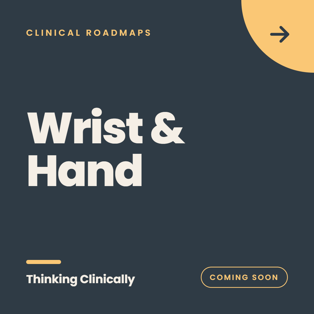 Wrist & Hand@1x.png