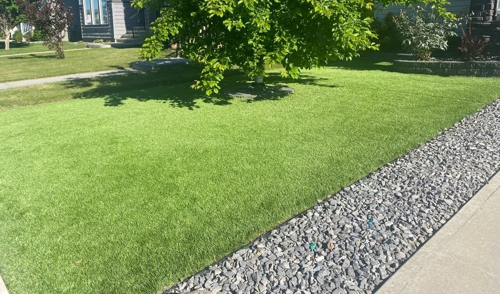 A well-maintained front yard with lush green grass, a small tree, and a border of gray rocks along the sidewalk in a residential neighborhood.