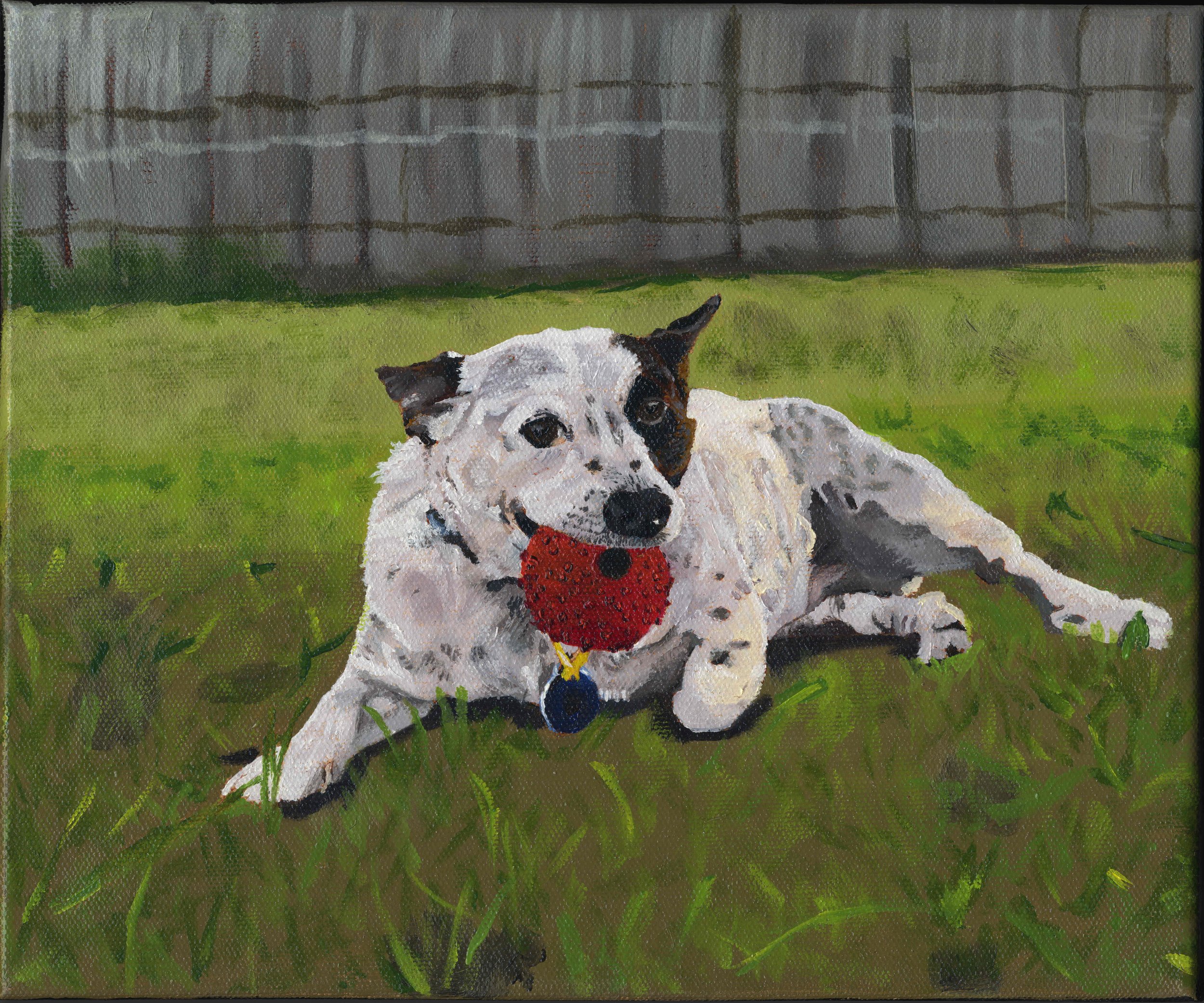 A painting of a black and white dog lying on green grass with a red toy in its mouth, in front of a gray stone wall.