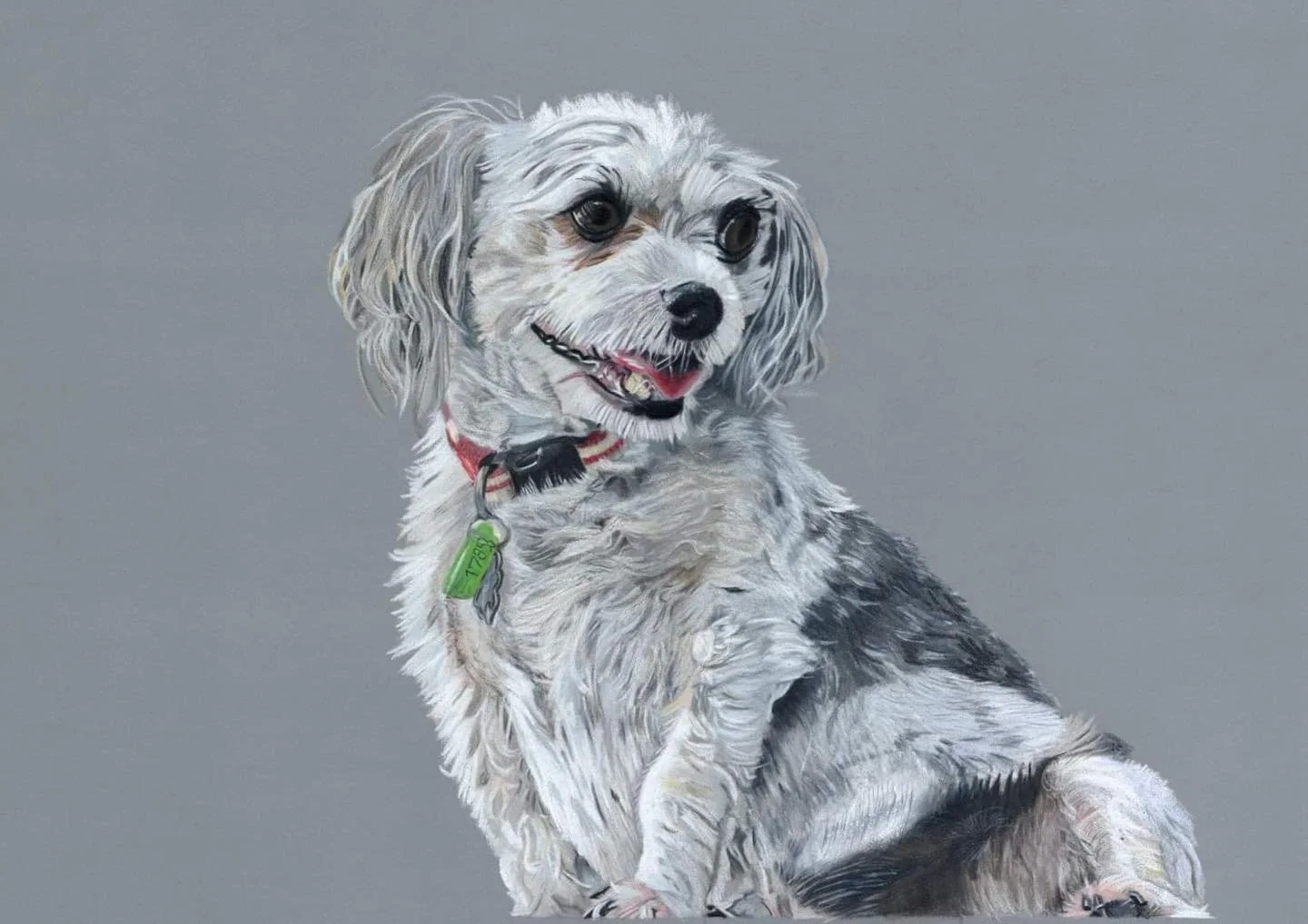 Coloured pencil on A3 pastelmat. Dog.