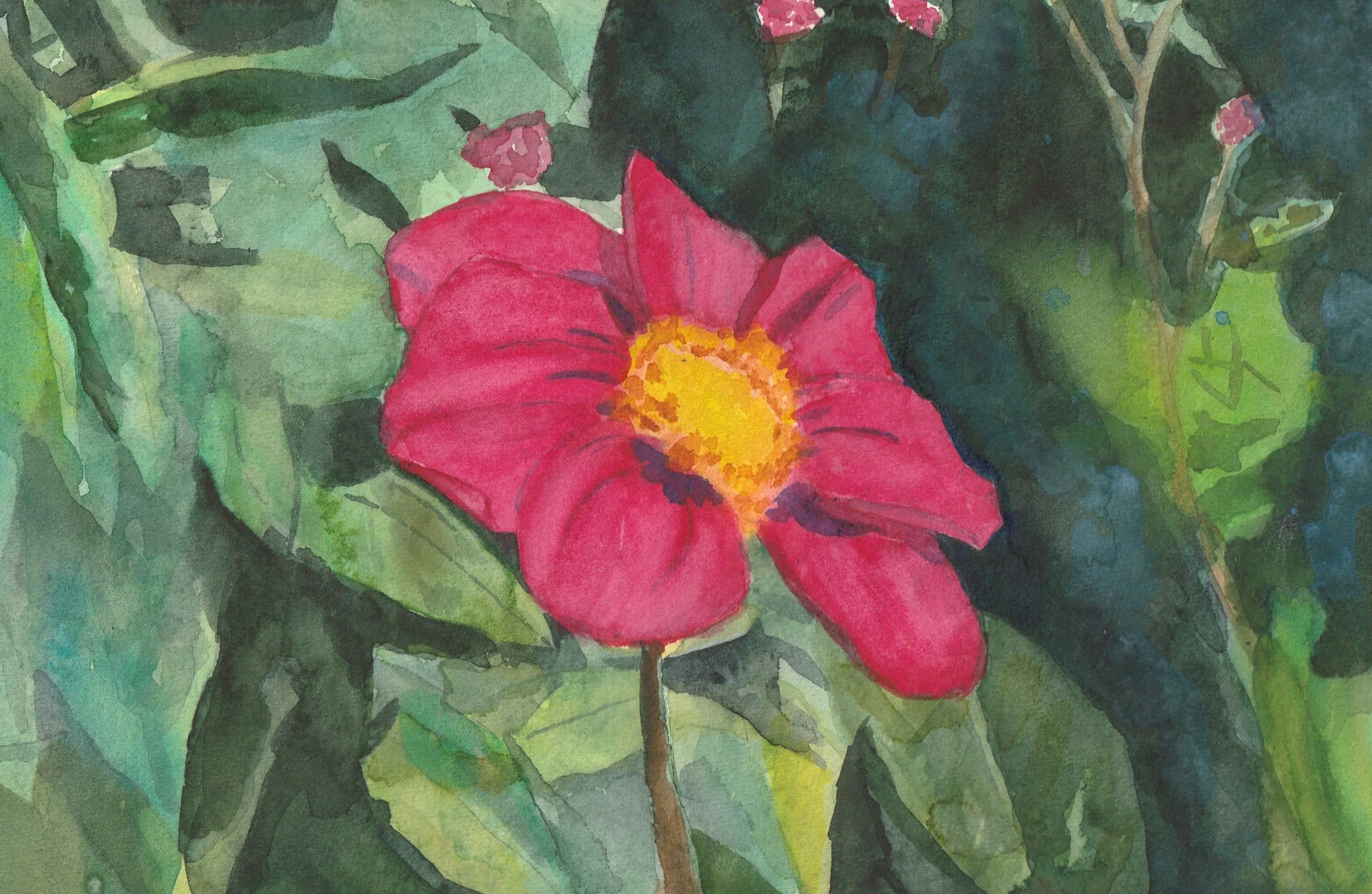 Watercolour on A4. Red flower