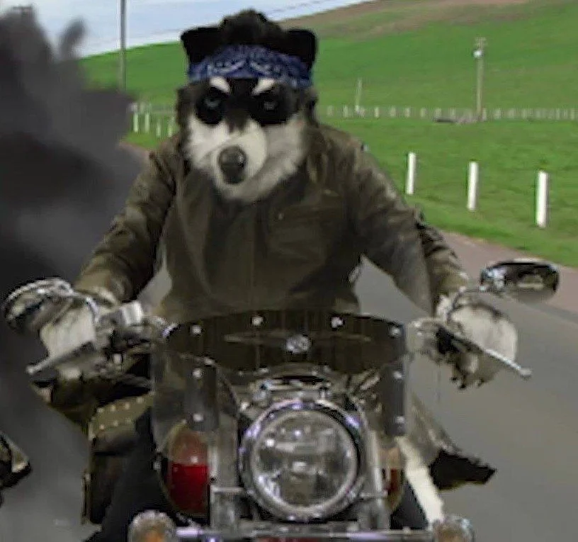 Anthony A. Snow in costume for his character Bonehead in the live action feature film Rainbow Forest