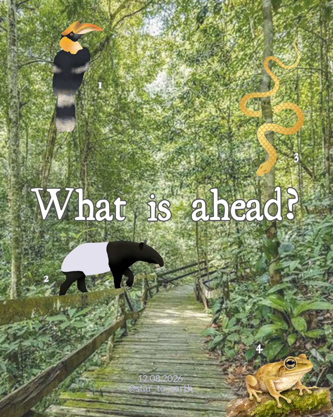 What is ahead?