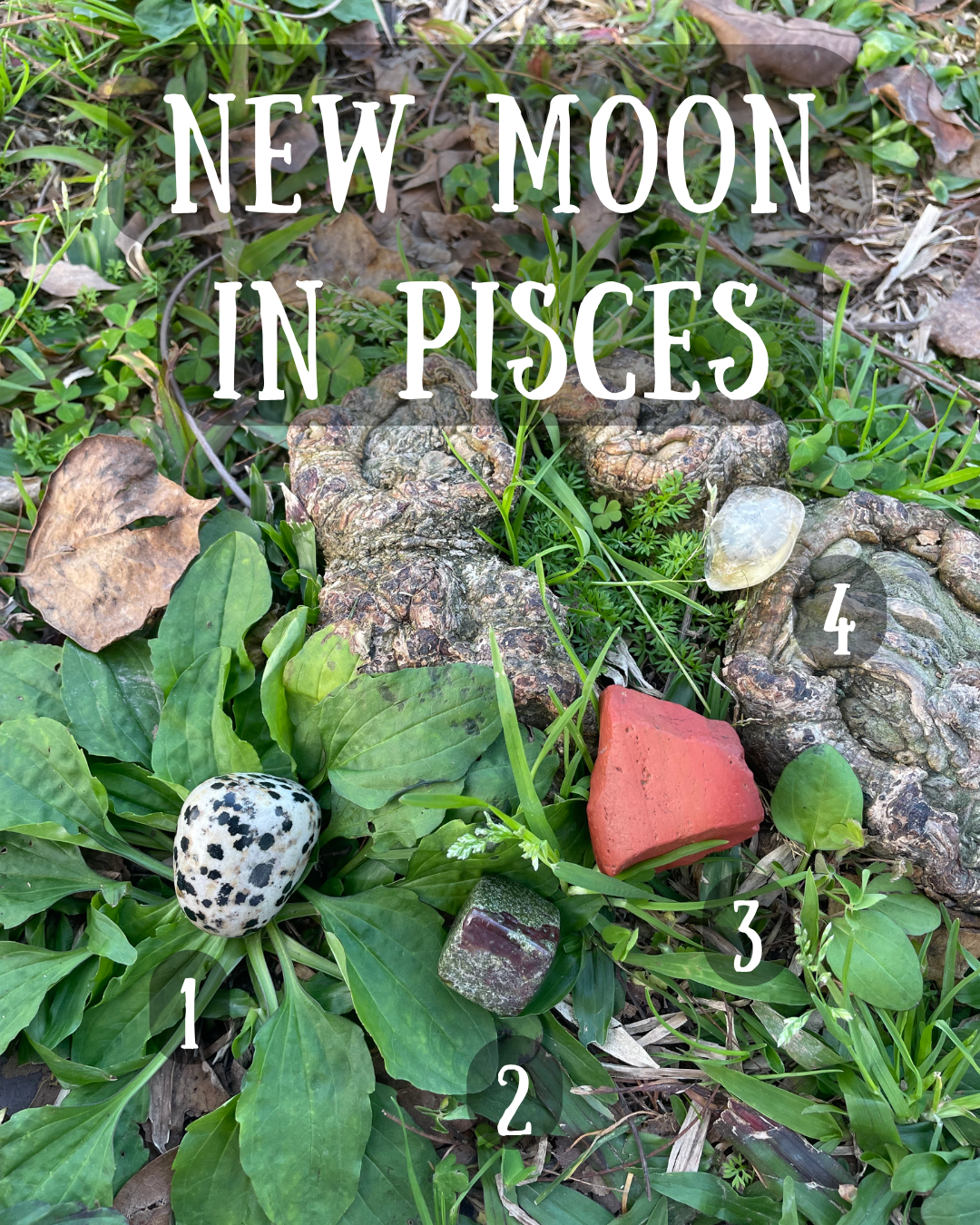 New moon in Pisces