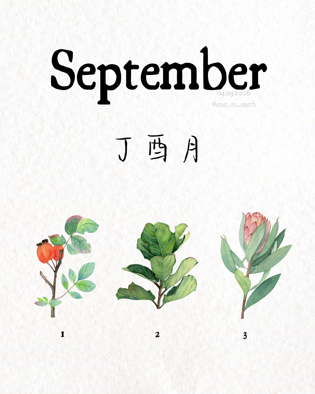 September Energy Reading
