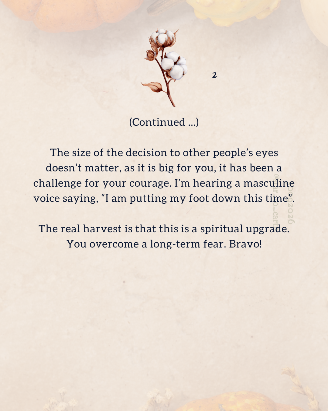 206.png