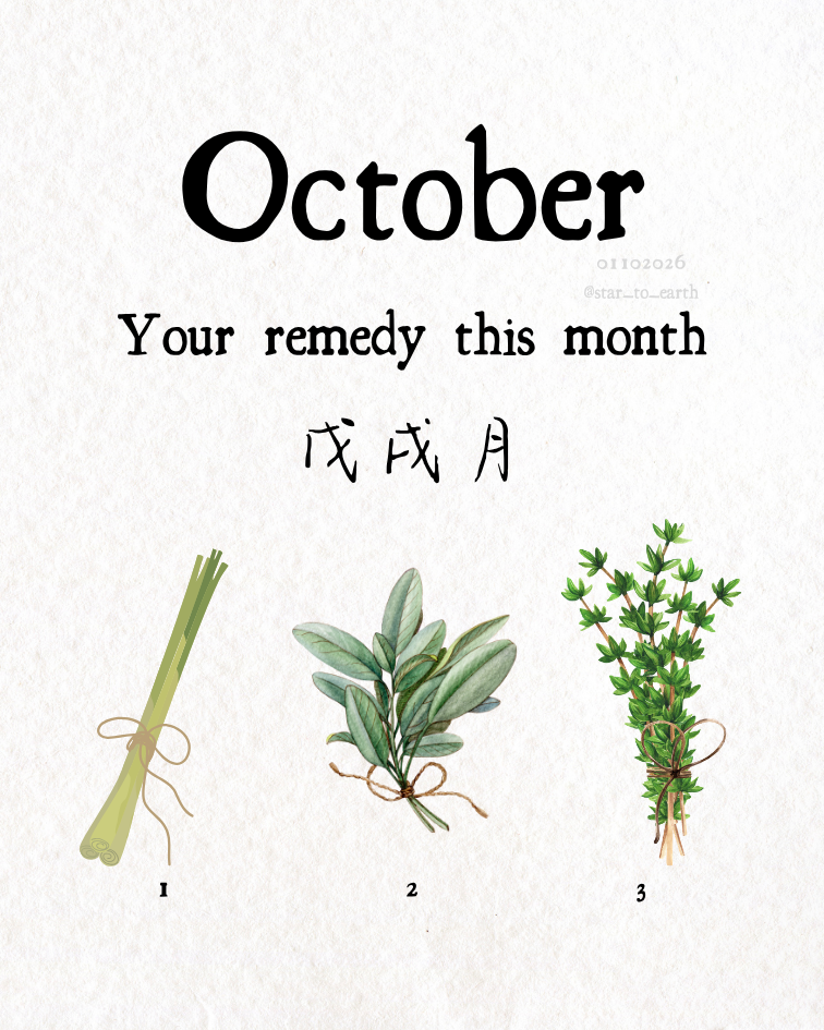 October 戊戌月
