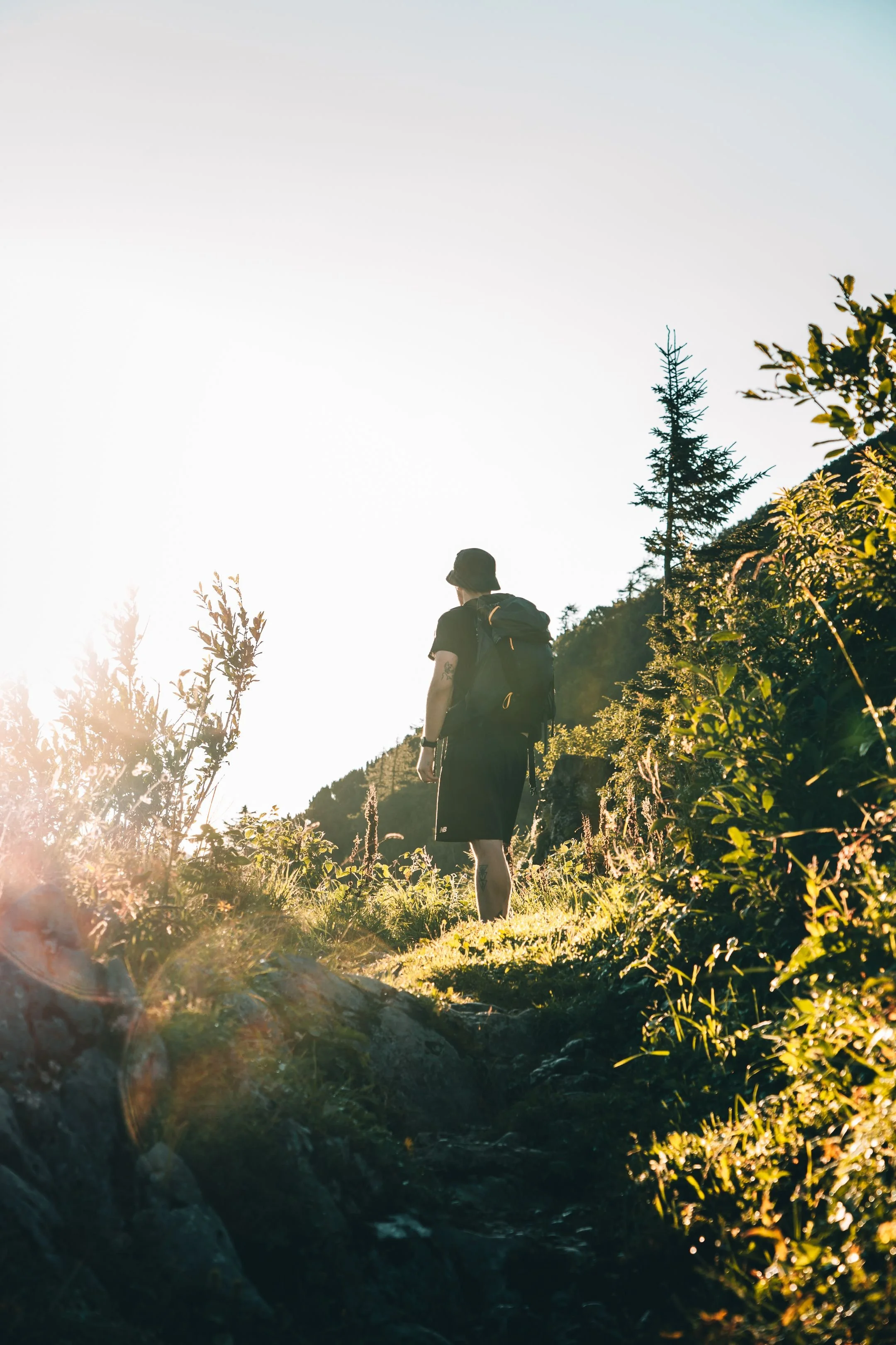 Person hiking on a forest trail surrounded by lush greenery and trees and sunlight.