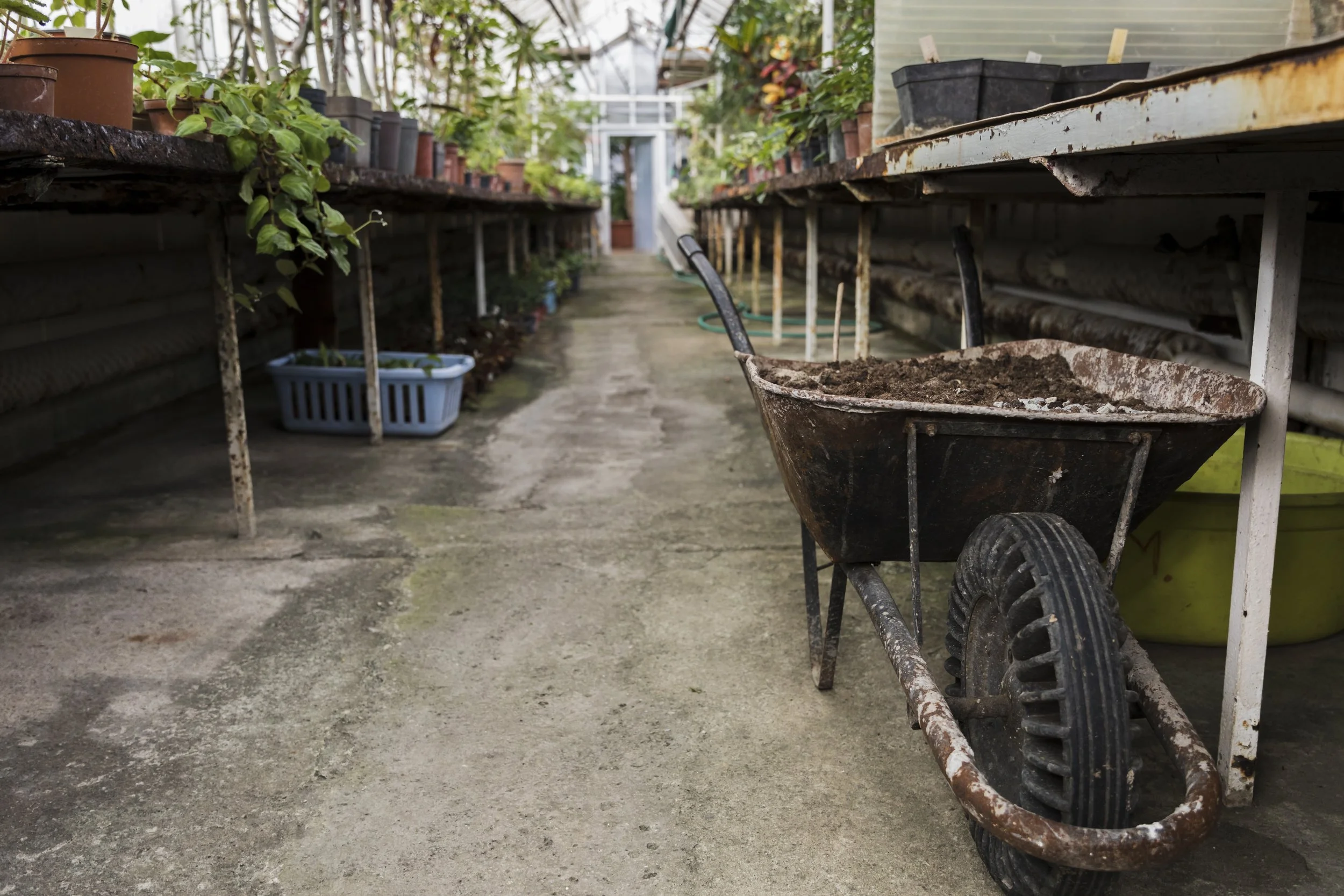 Haul-Away & Cleanup Services