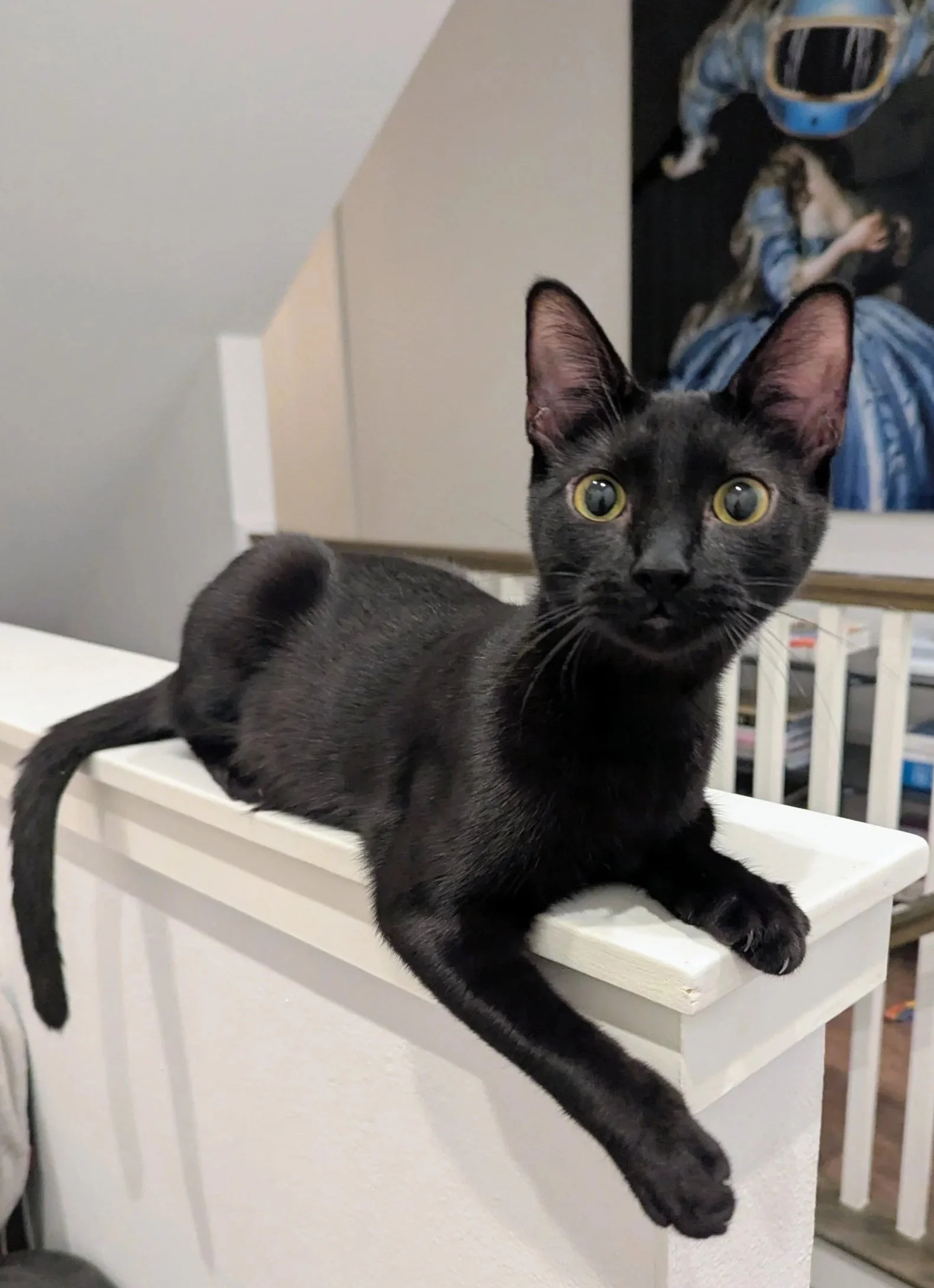 A black cat lying on a white shelf, looking at the camera with wide yellow eyes.