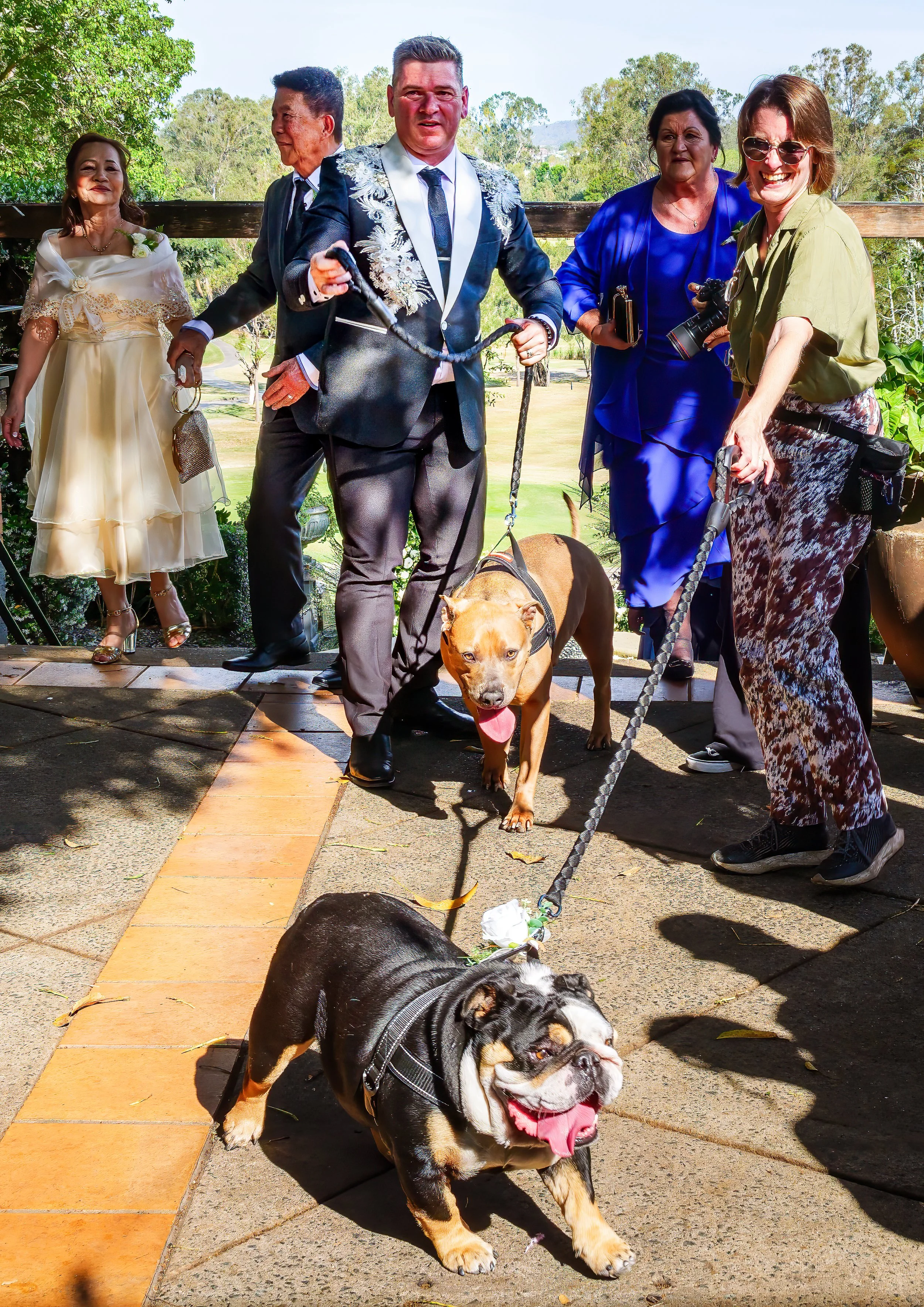 Two dogs with the handler and groom at a Brisbane wedding
