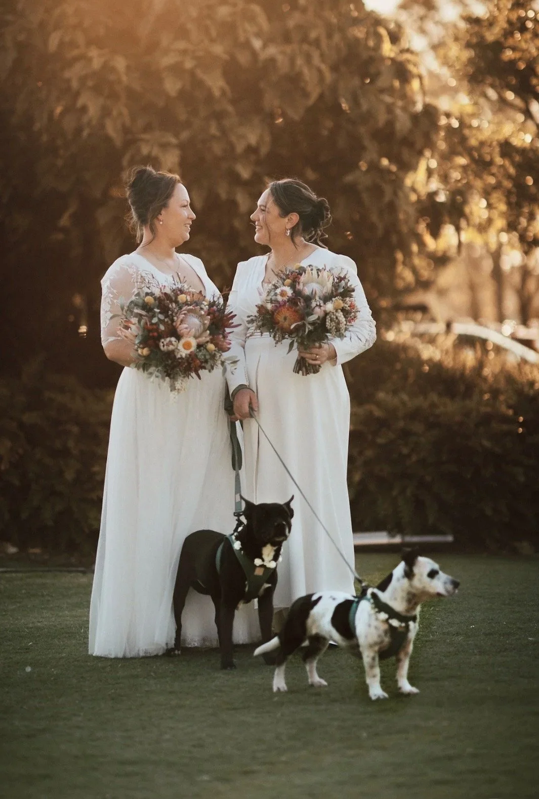 A Pawfect Day at Sandstone Point Hotel ✦ 
Helping Ella & Pepper be part of the ceremony and wedding photos while their humans enjoyed the day.