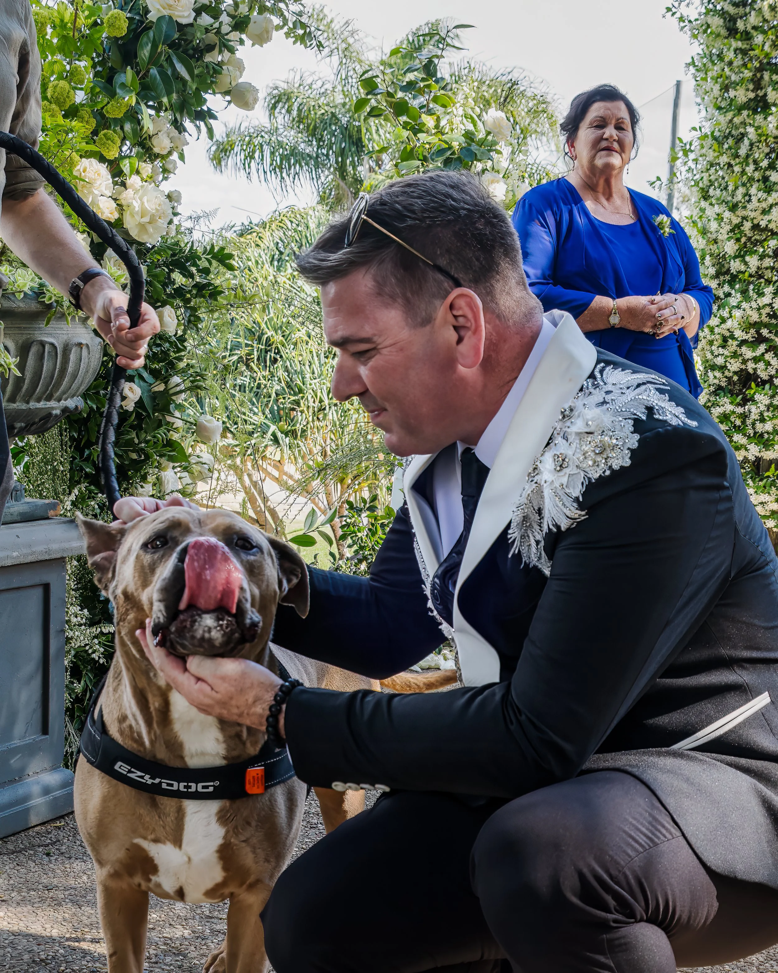 Groom giving his dogs loving pats after the wedding ceremony in Brisbane