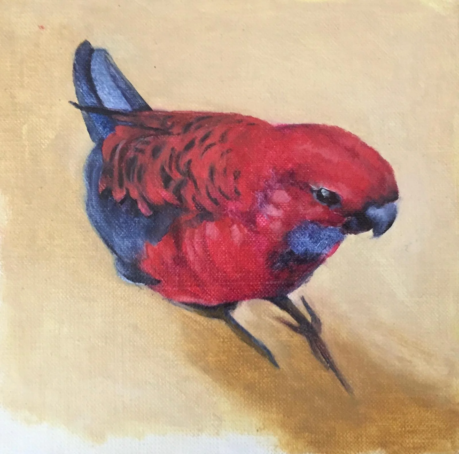 WhatsApp Image 2025-12-05 at 18.09.38.jpeg