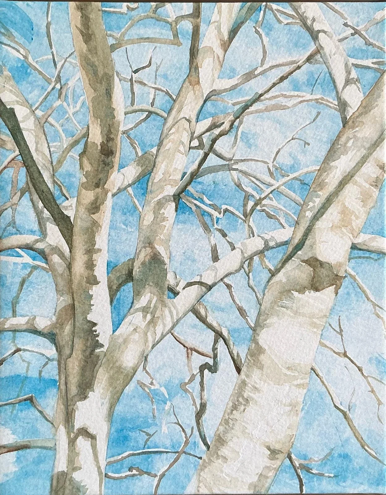 WhatsApp Image 2025-11-29 at 11.34.44.jpeg