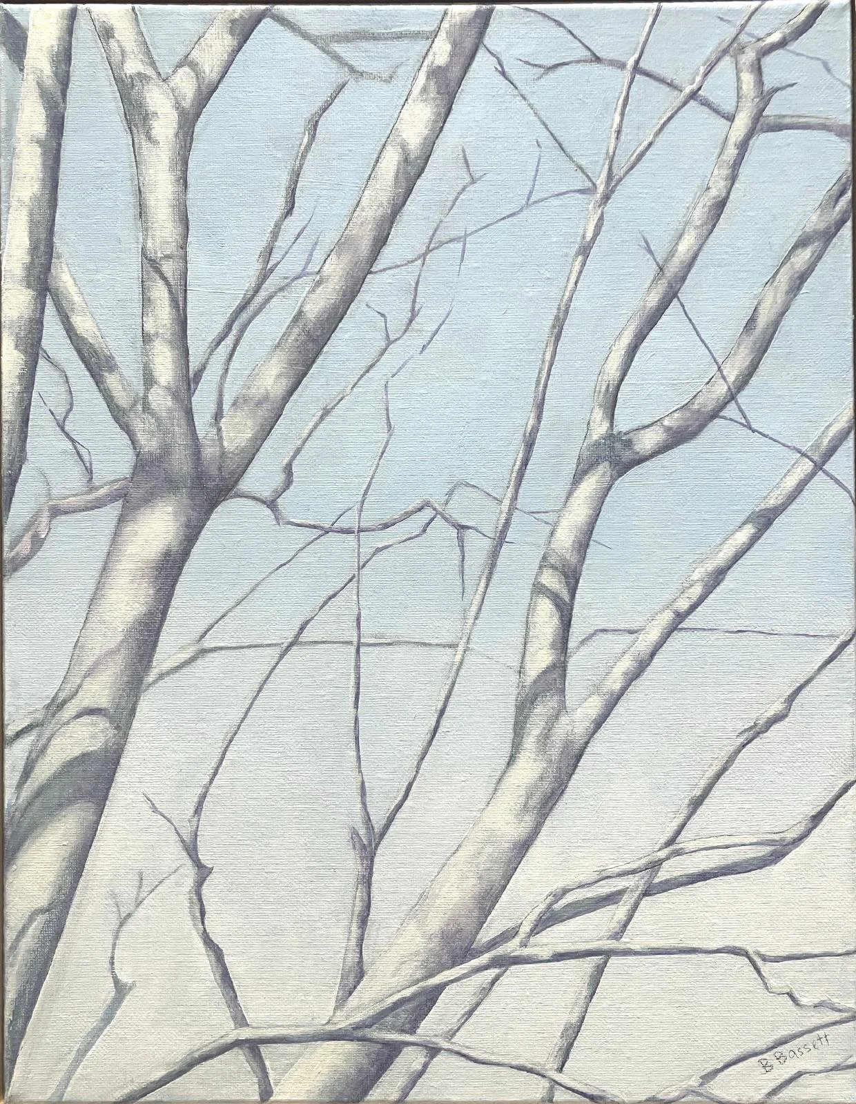 WhatsApp Image 2025-11-29 at 14.48.58.jpeg