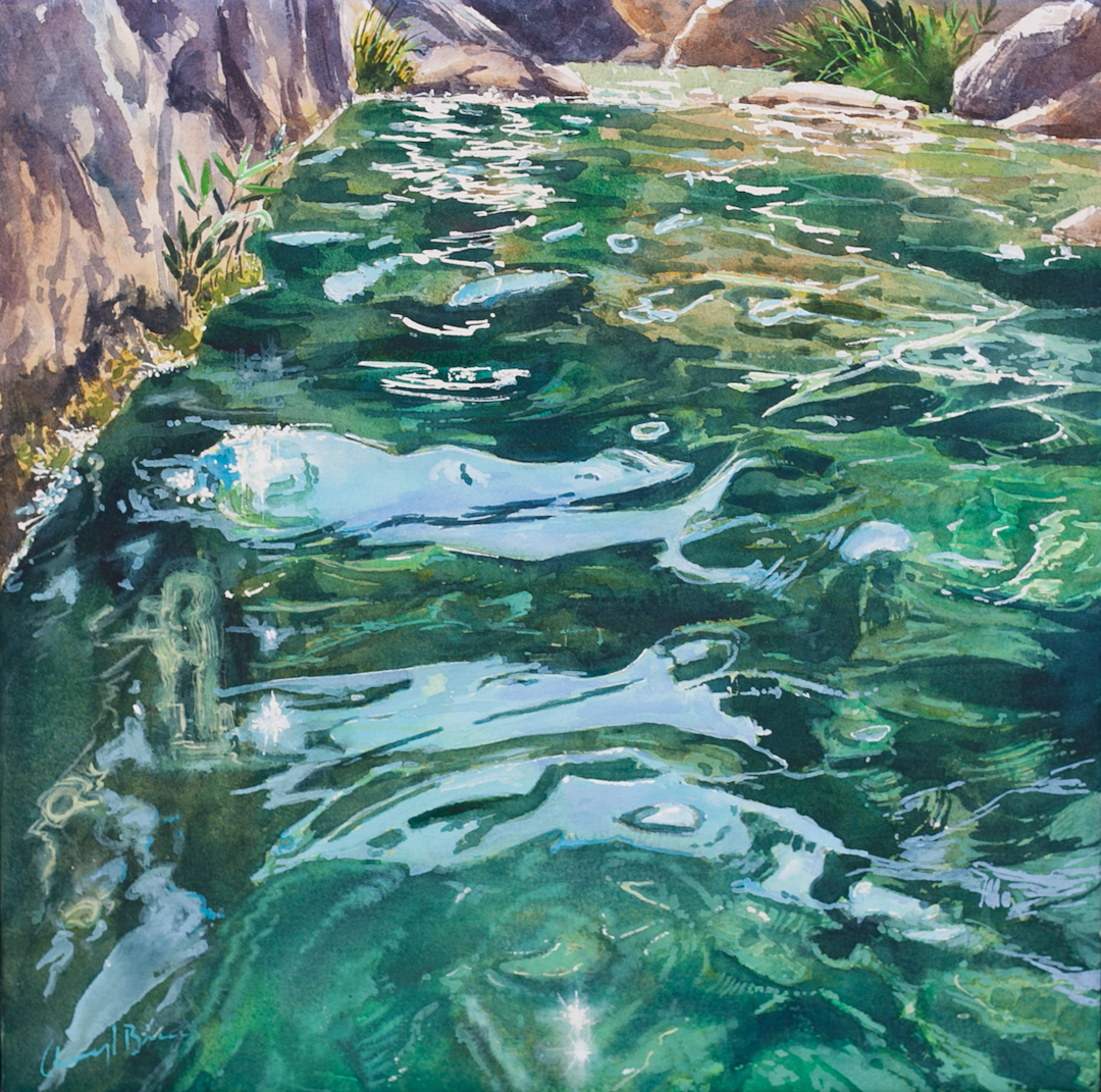 Cheryl Bruce Dragon Fly Rest, watercolour_32x32 $780.png