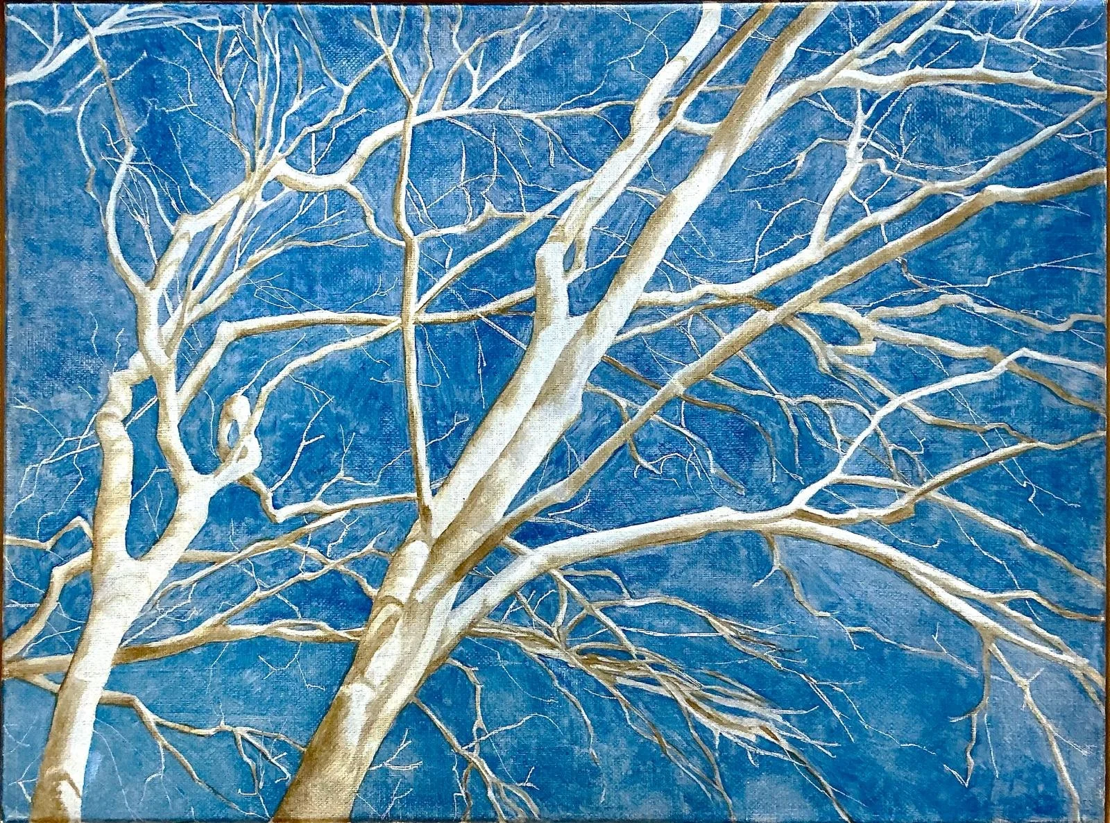 WhatsApp Image 2025-11-29 at 11.34.44 (1).jpeg