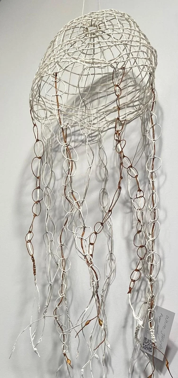 WhatsApp Image 2026-02-28 at 20.37.42 (2).jpeg