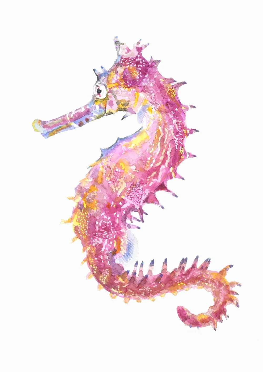 seahorse-print-web.jpg