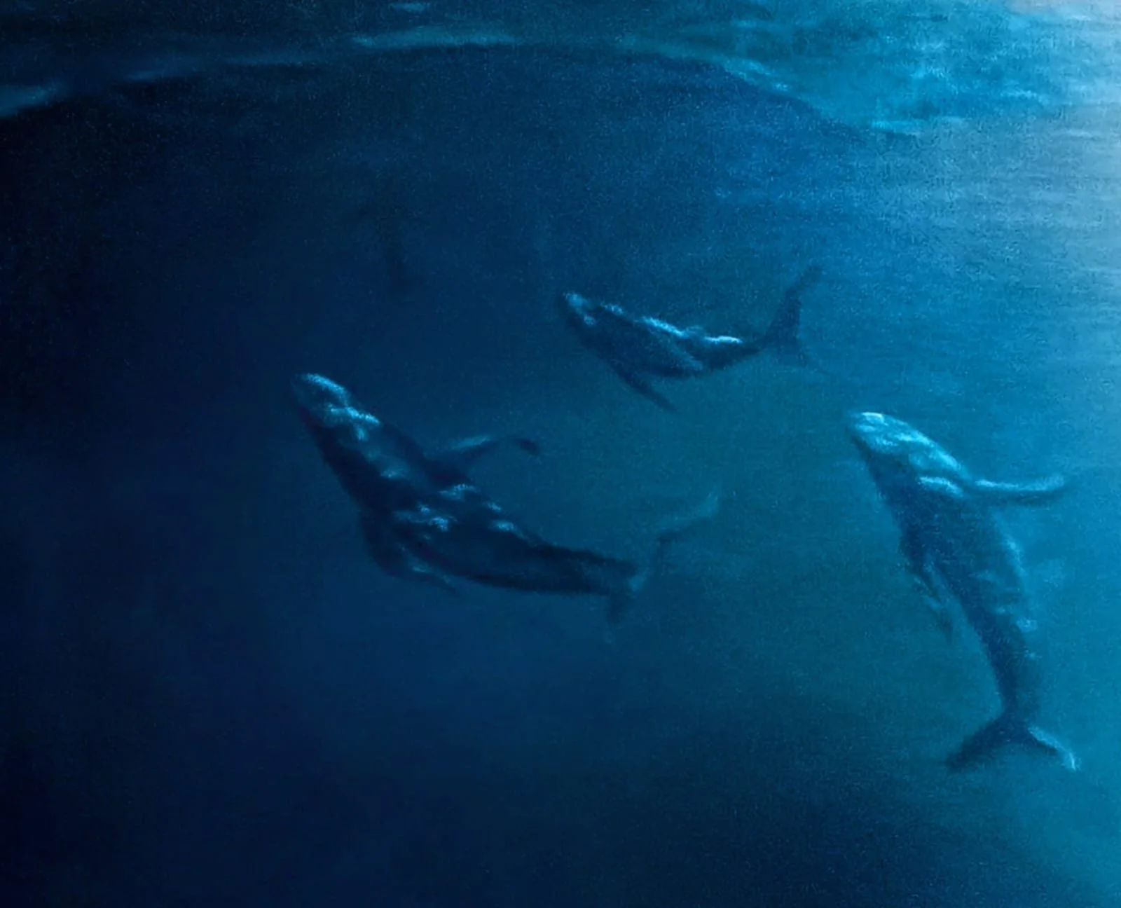 WhatsApp Image 2026-03-02 at 16.20.43.jpeg