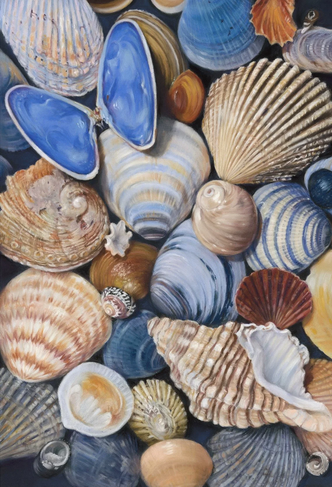 Desley Stewart - Bay Treasures.jpg