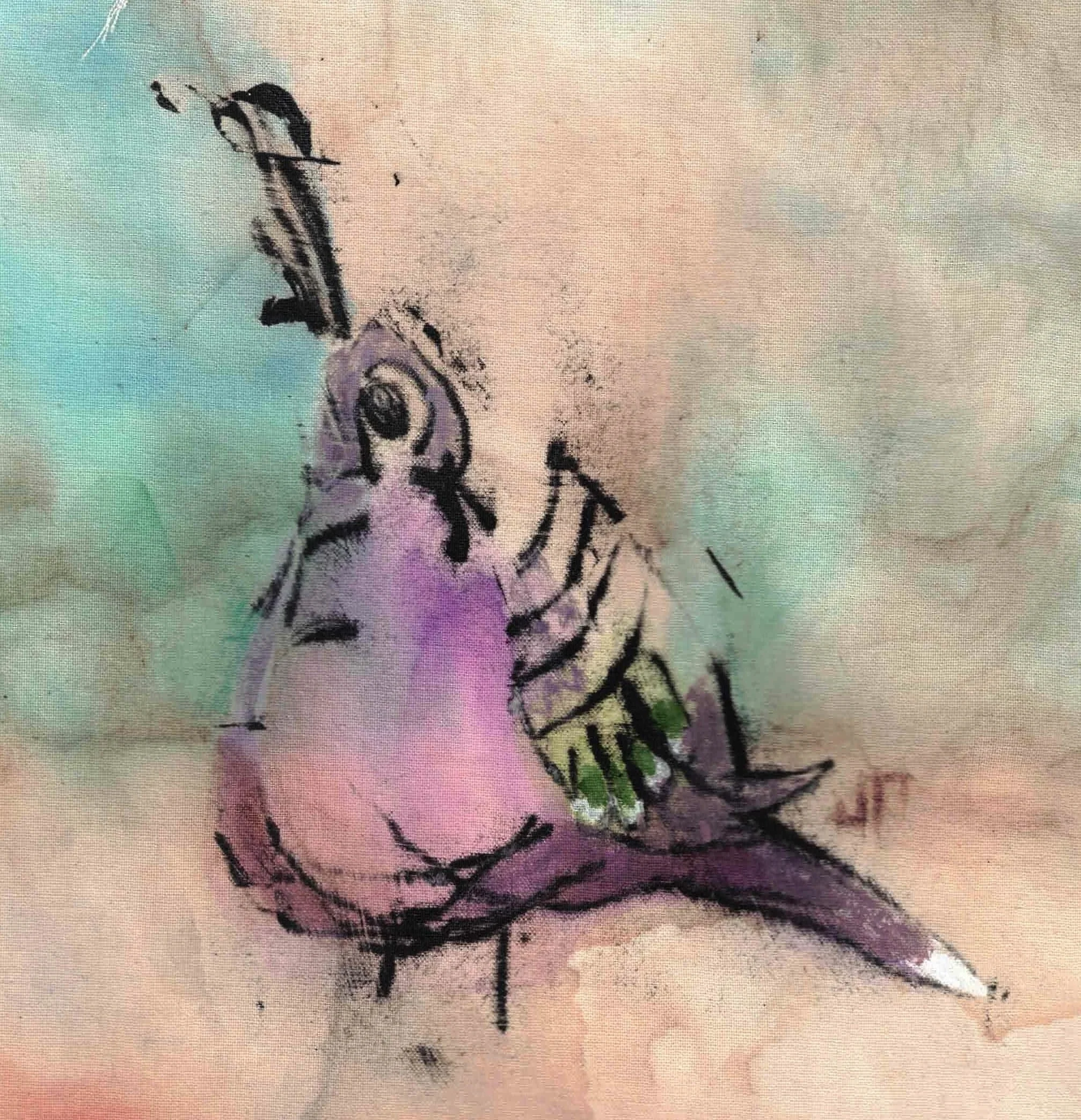 crested pigeon sketch CROPPED.jpeg