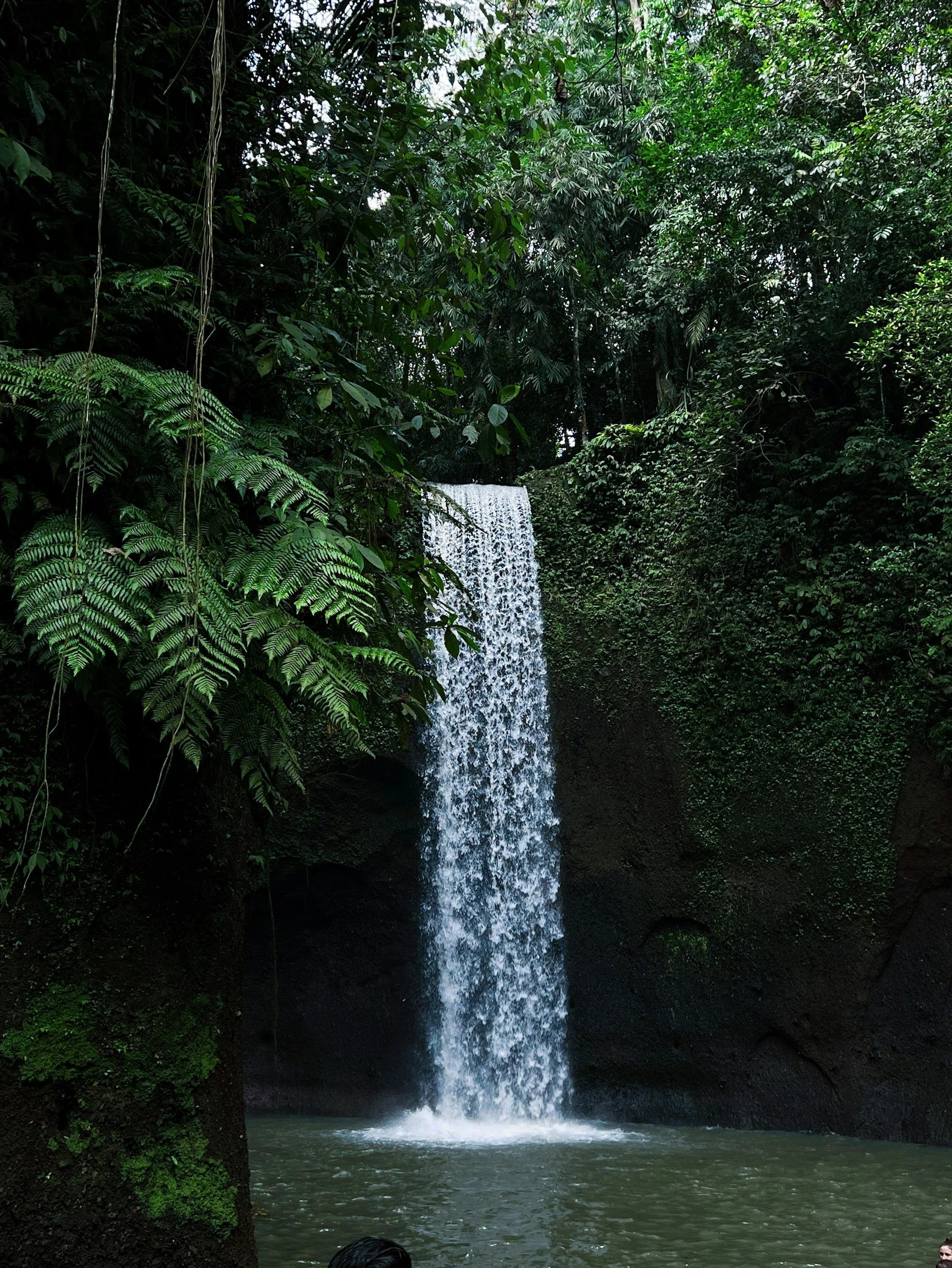 A waterfall surrounded by lush green tropical jungle foliage.