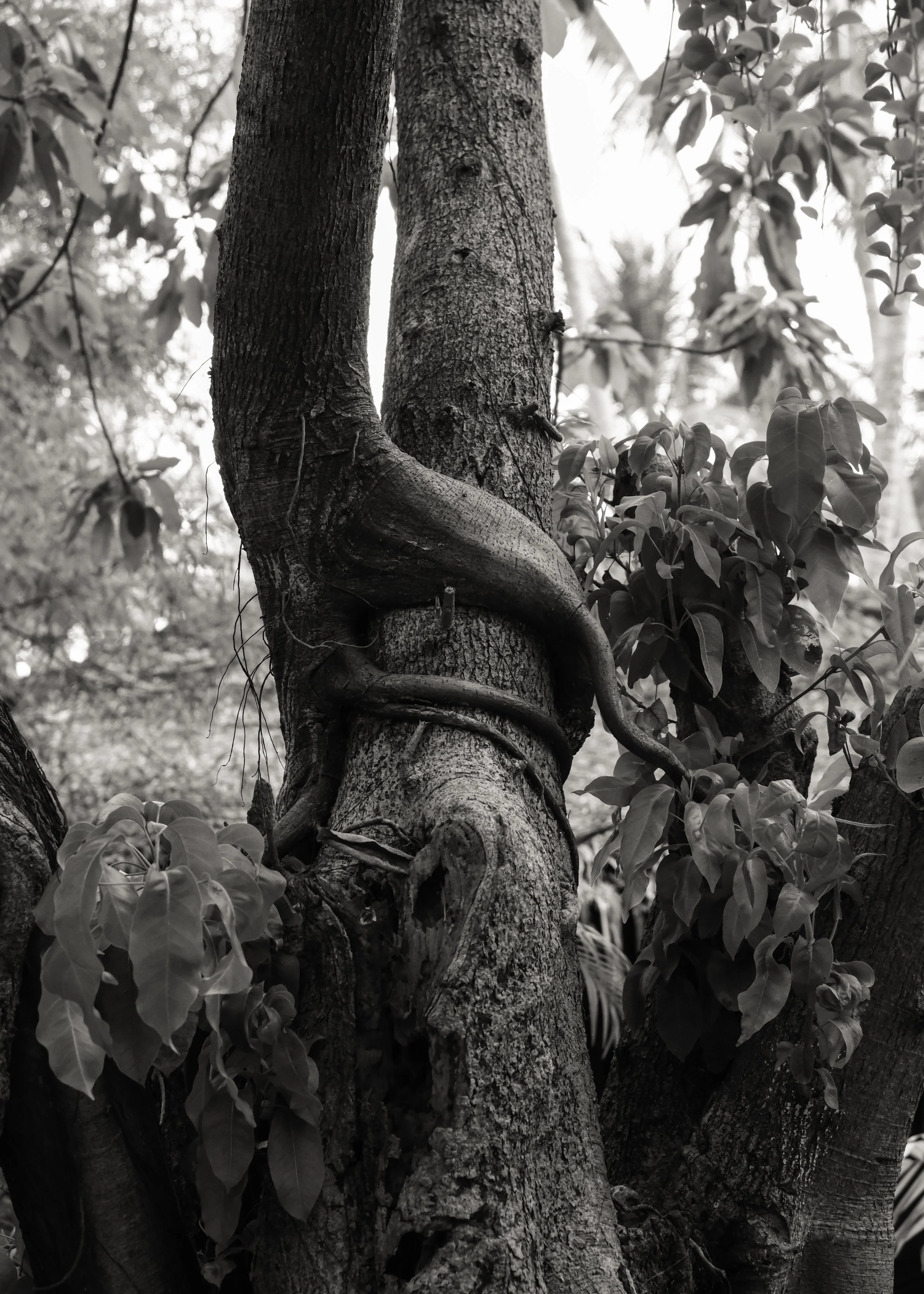 Can hospitality strengthen what It depends on?