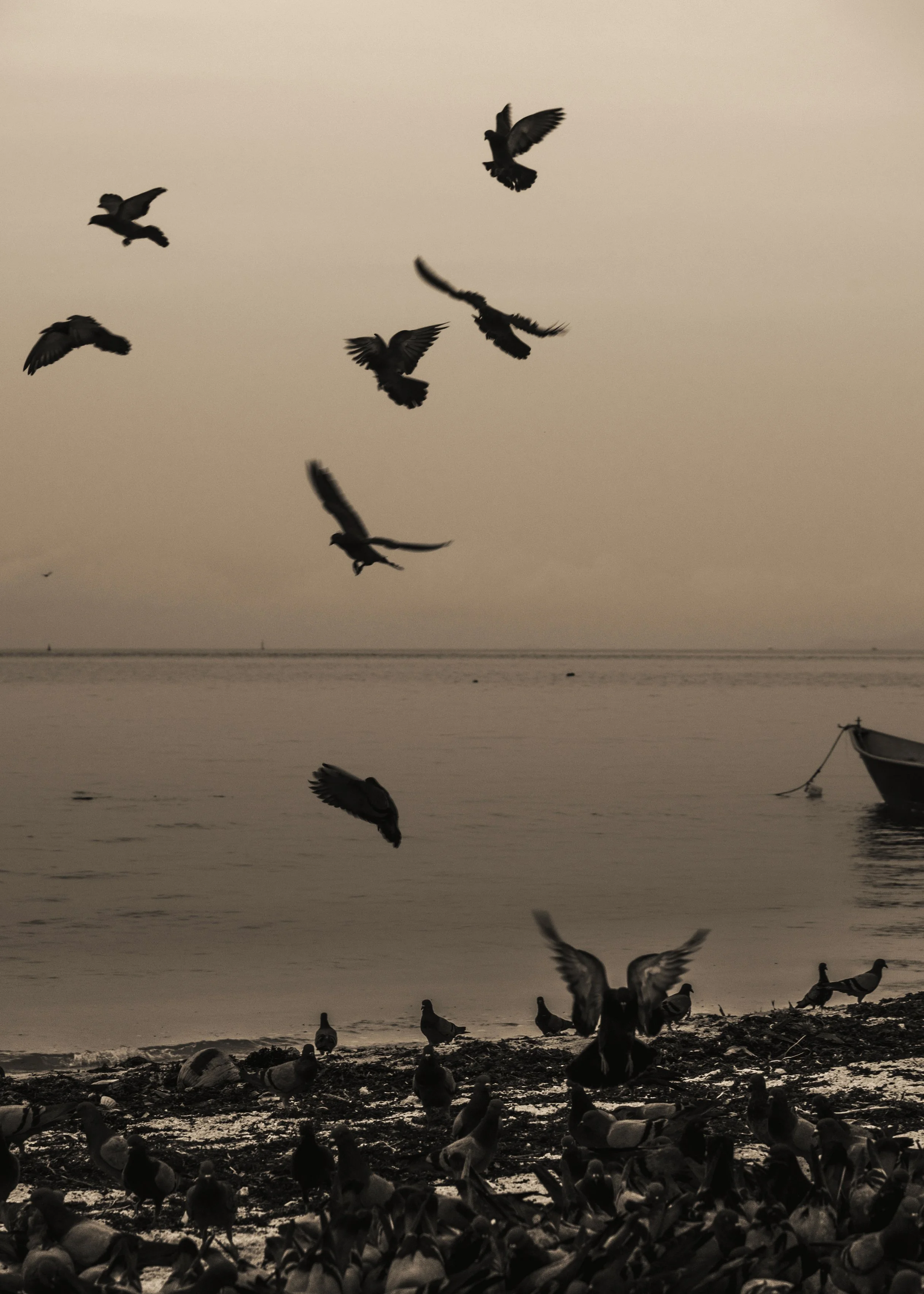 What feels essential?