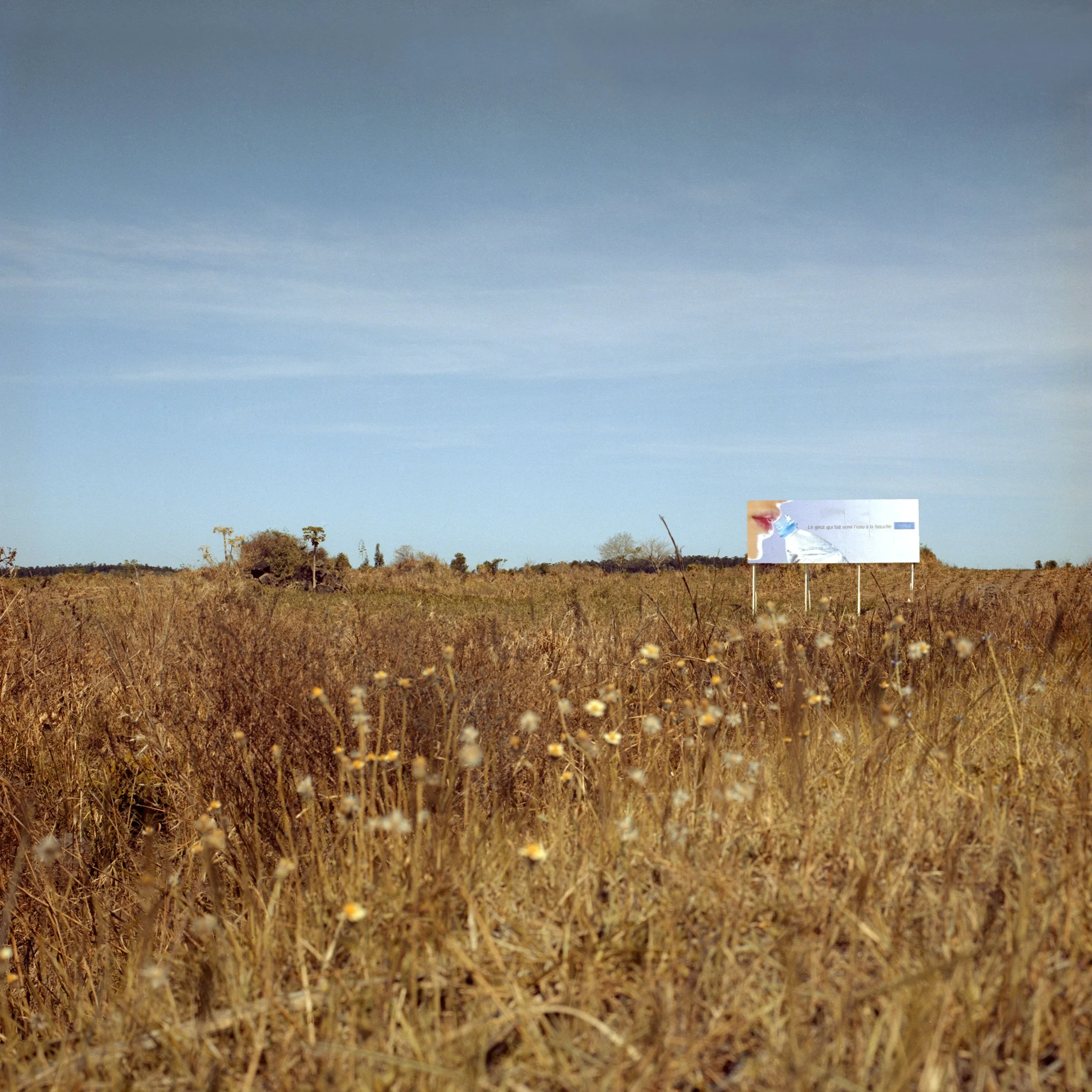 In Mauritius, Wide open field with dry grass and a few sparse trees in the background. Blue sky with some light, wispy clouds. A billboard with a Vital water advertising is visible in the lower right part of the image.