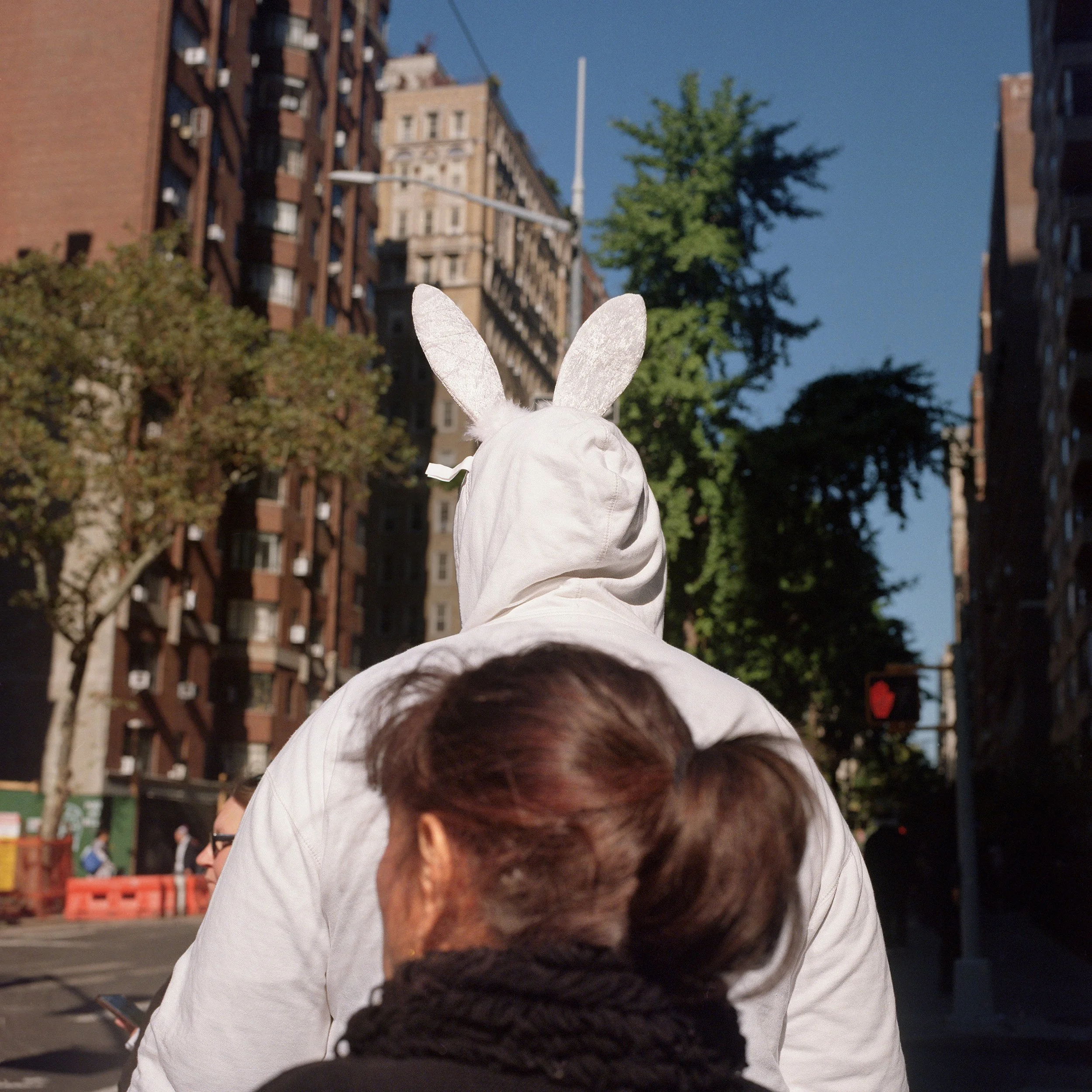In New York Manhattan, A person dressed as a bunny with white ears and hoodie, seen from behind, walking through a city street with tall buildings and a green tree in the background.