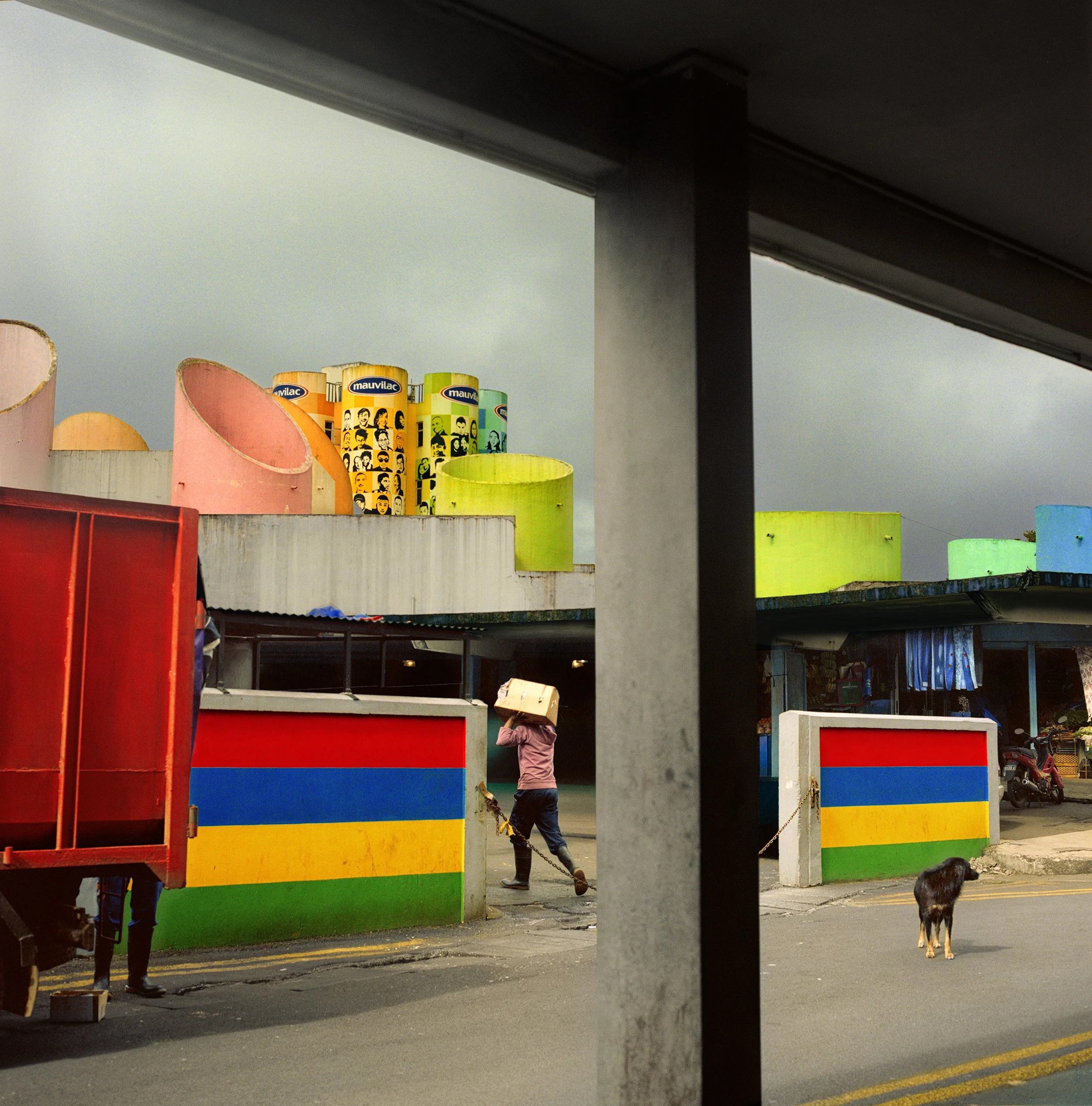 In Curepipe Market, Mauritius,  A person stands near one of the barriers, holding a leash attached to a large black and brown dog. Mauritian flag painted on the walls
