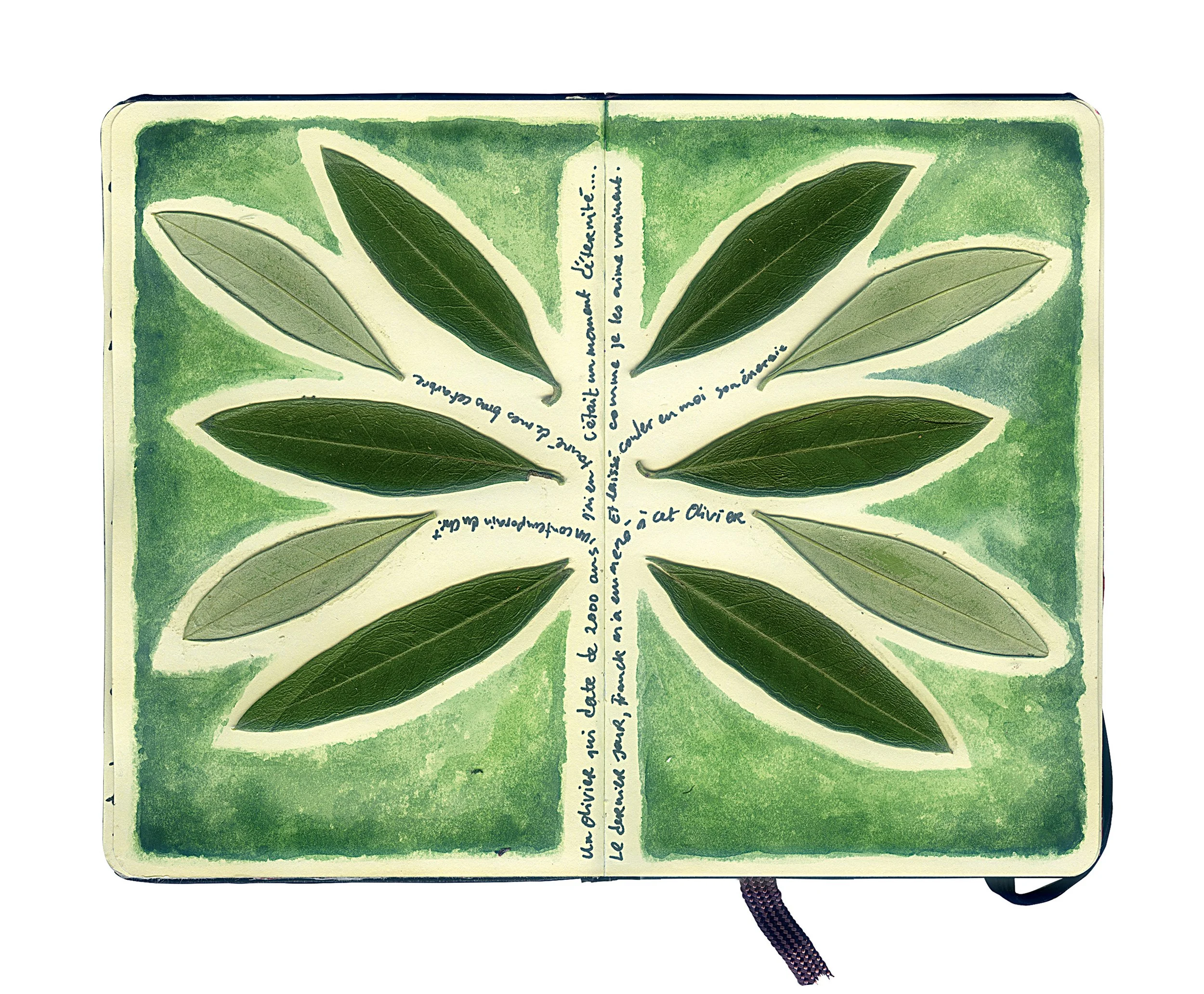 Open notebook with green watercolor background, featuring a design of leaves and handwritten French text forming a symmetrical pattern.