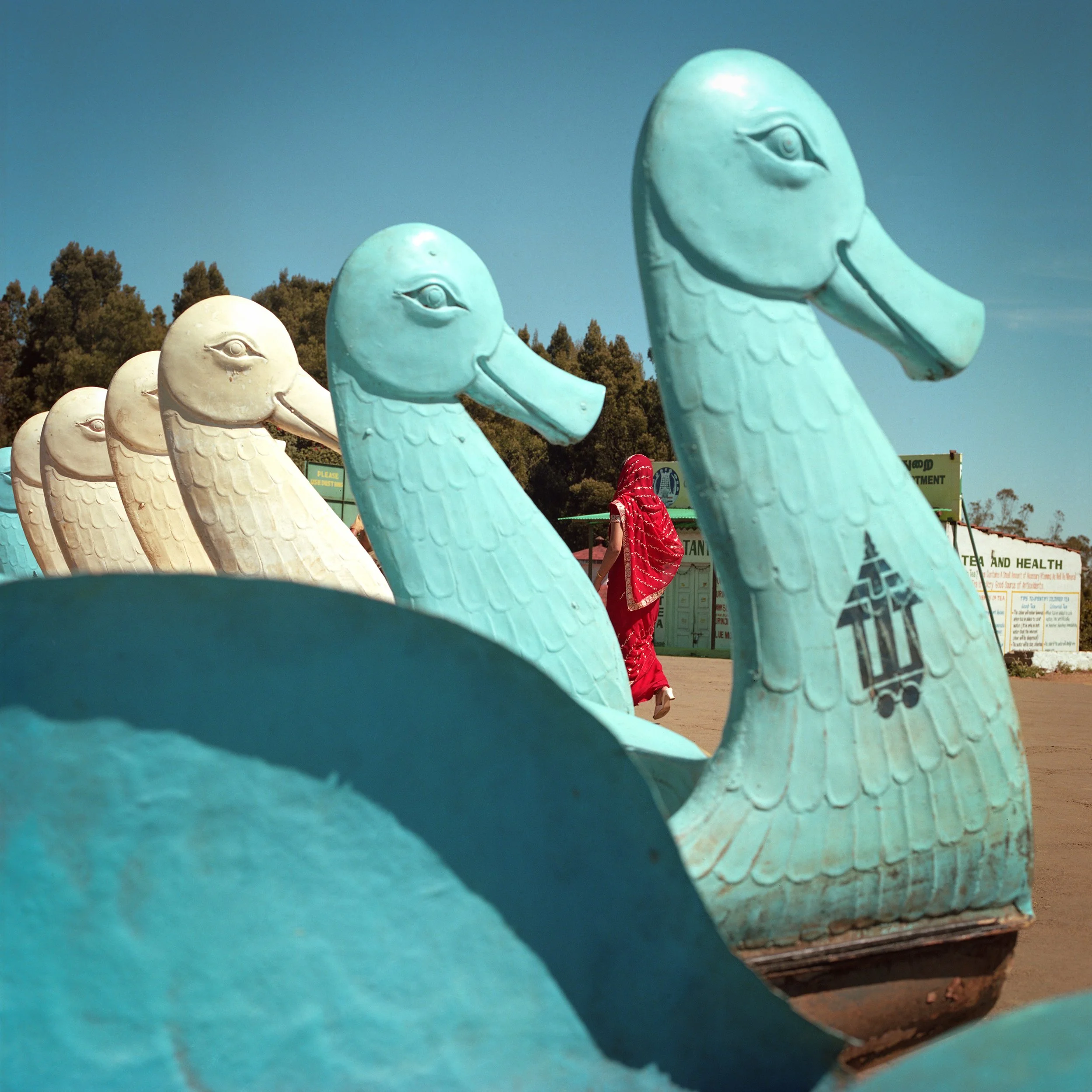 Multiple large turquoise duck sculptures with layered feather details, in an outdoor area with trees and a person in red clothing walking in the background.