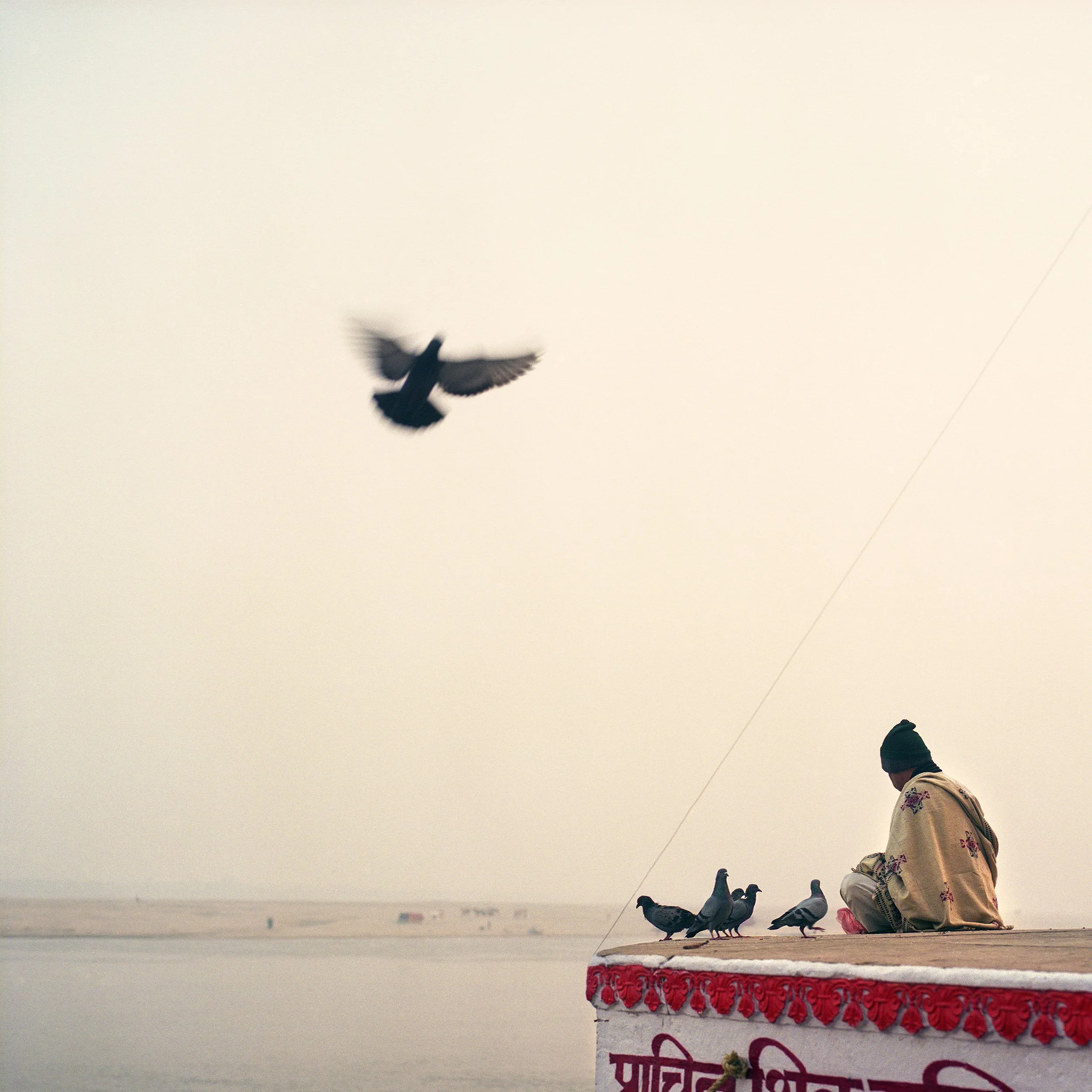 A person wearing a beige shawl with red embroidery sitting on a raised platform near water, with several pigeons nearby and one pigeon flying overhead.