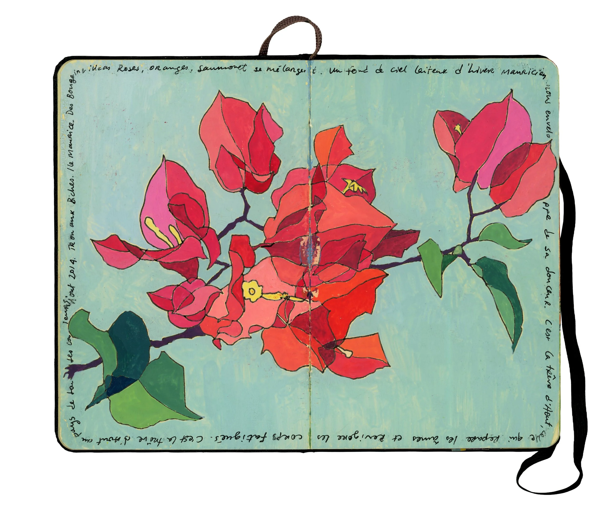 Illustration of pink and red bougainvillea flowers with green leaves on a light blue background, with handwritten notes in French around the edges.